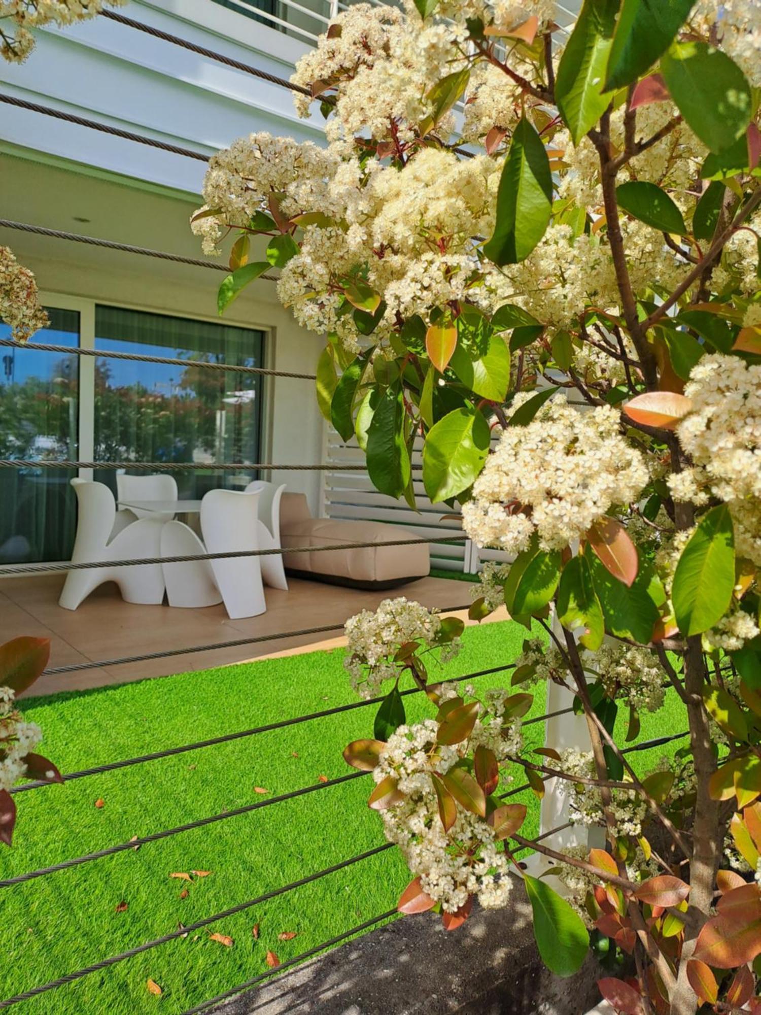 Deluxe One-Bedroom Apartment Garden