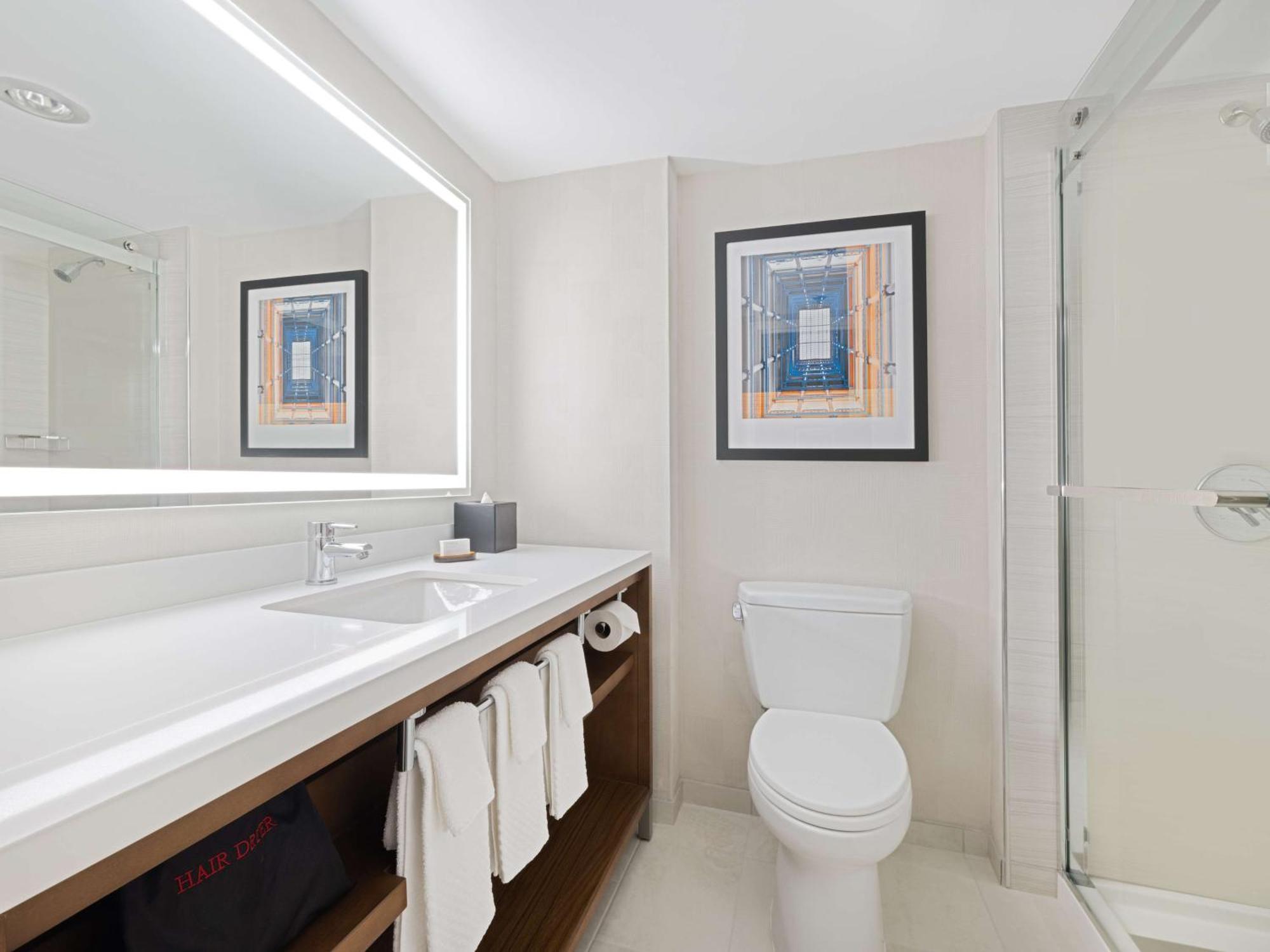 Two-Room King Suite Non-Smoking