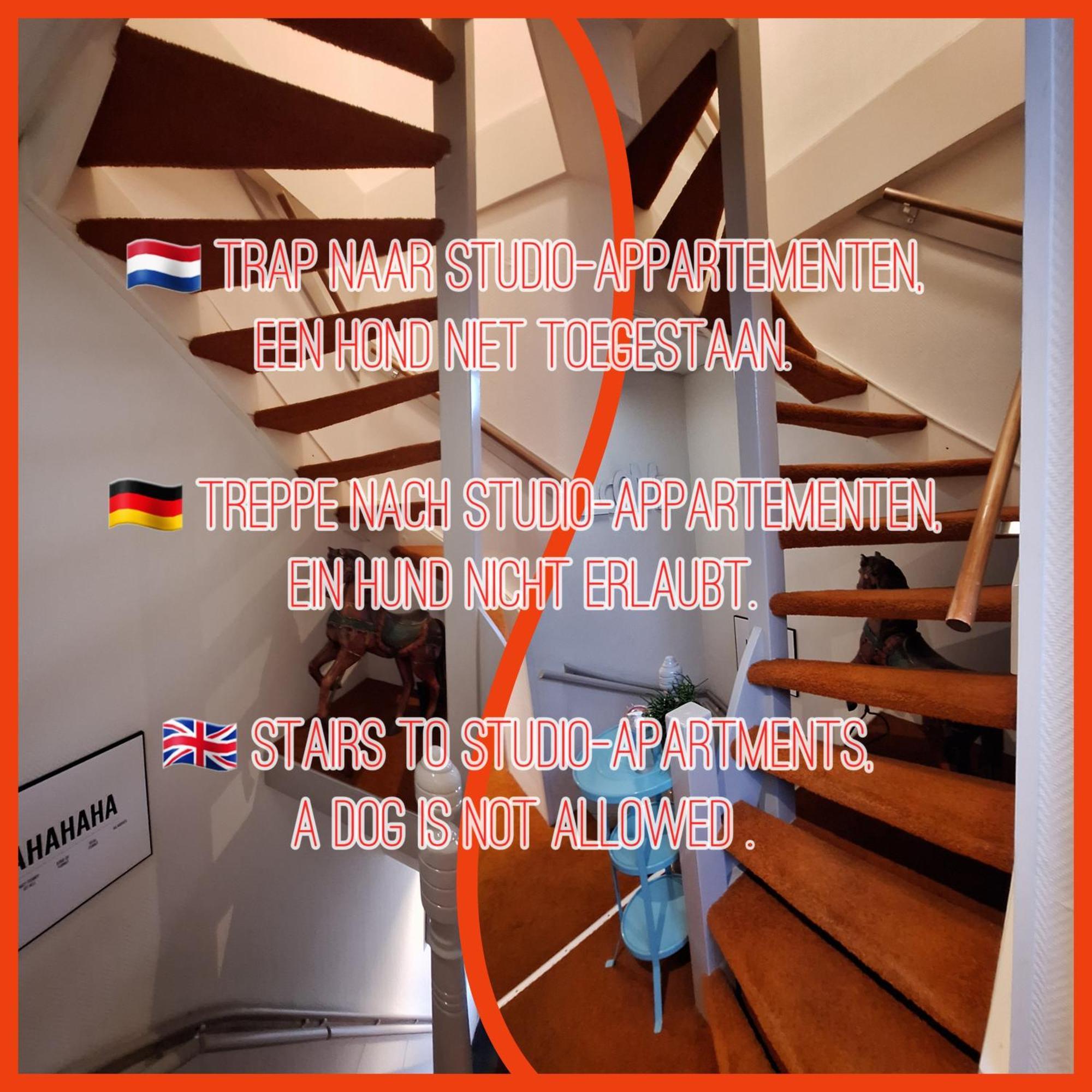 Studio Apartment,1288198810:JPEG