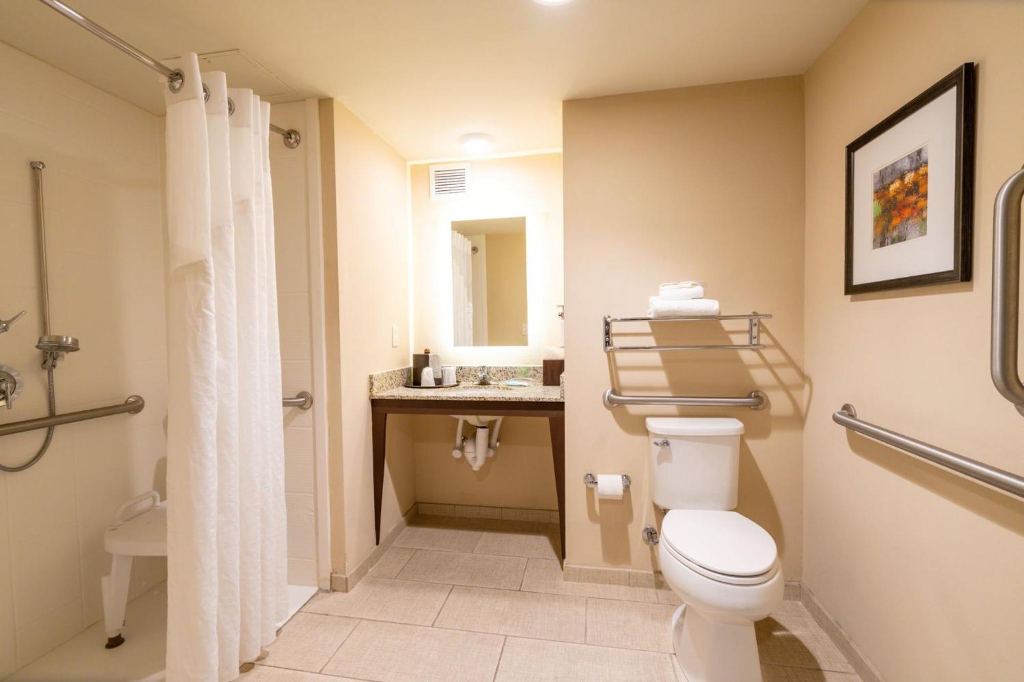 King Room Mobility Access or Hearing Accessible,1605401732:JPEG