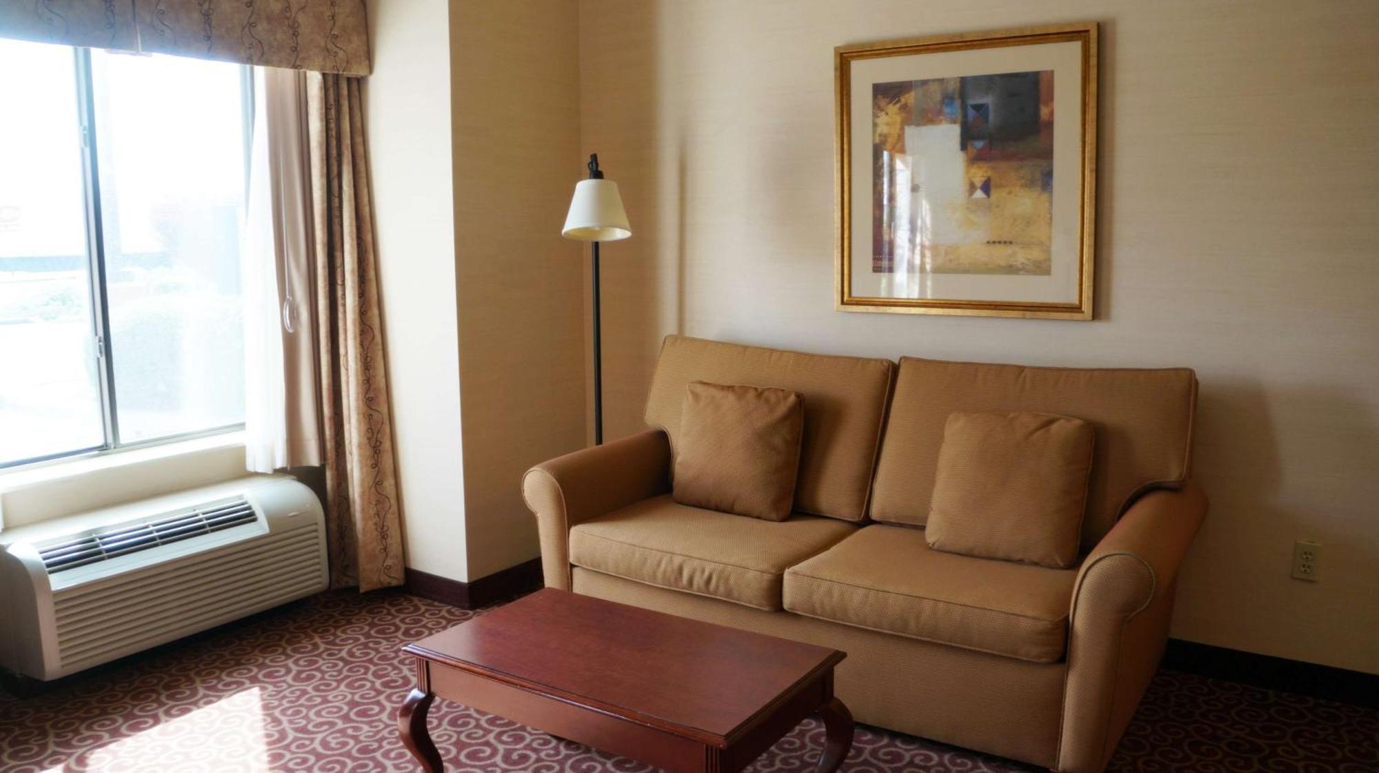 King Studio Suite Sofa Bed Non-Smoking