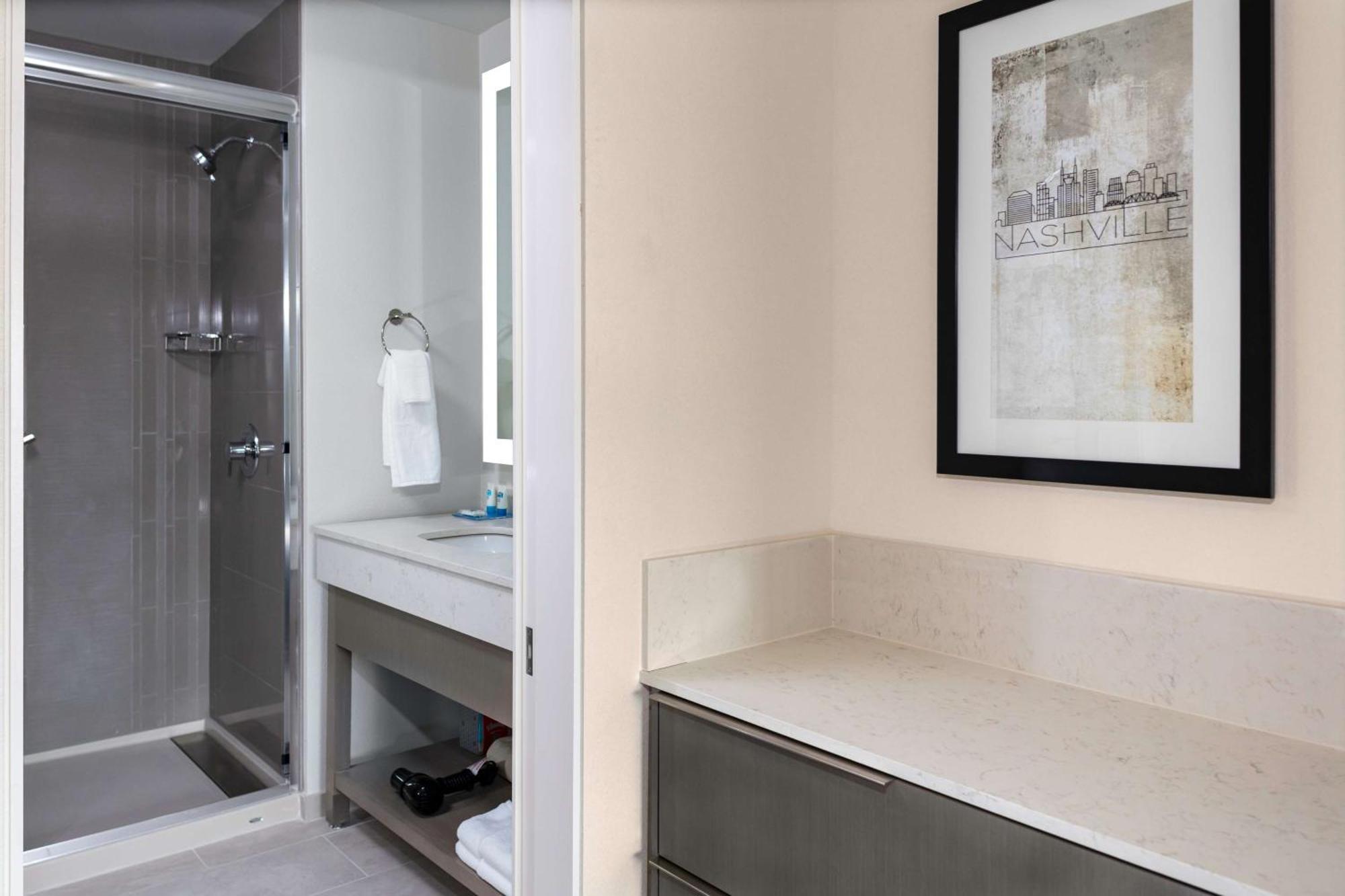 King Studio Suite with Kitchen and Sofa Bed