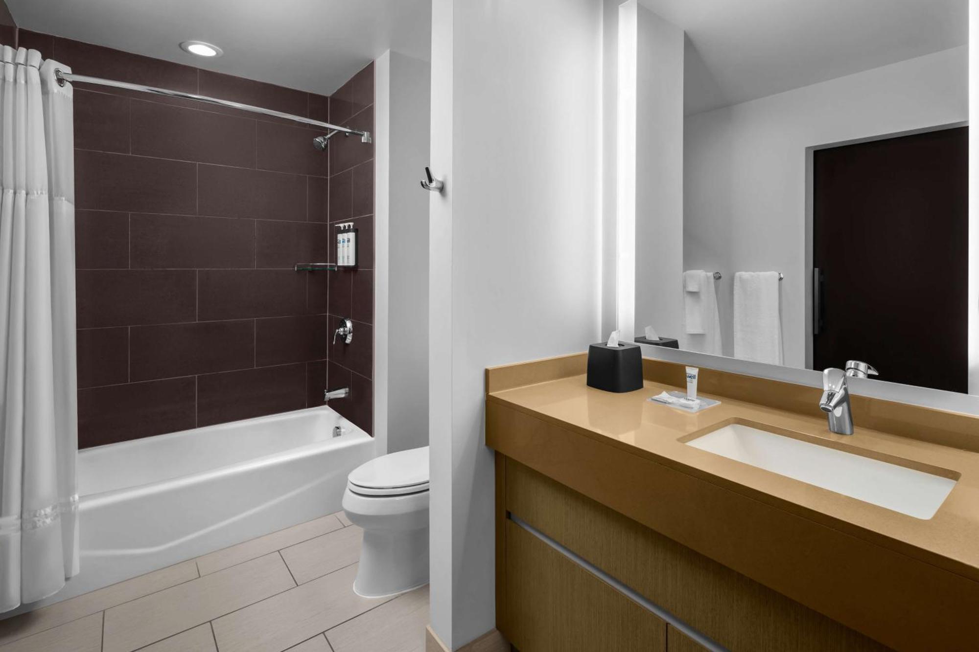 One-Bedroom King Suite