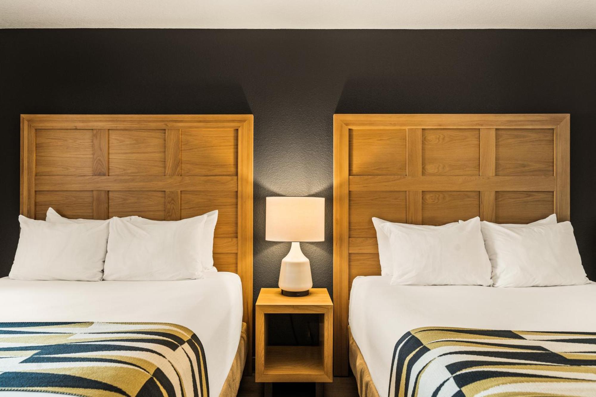 Executive 2 Queen Suite