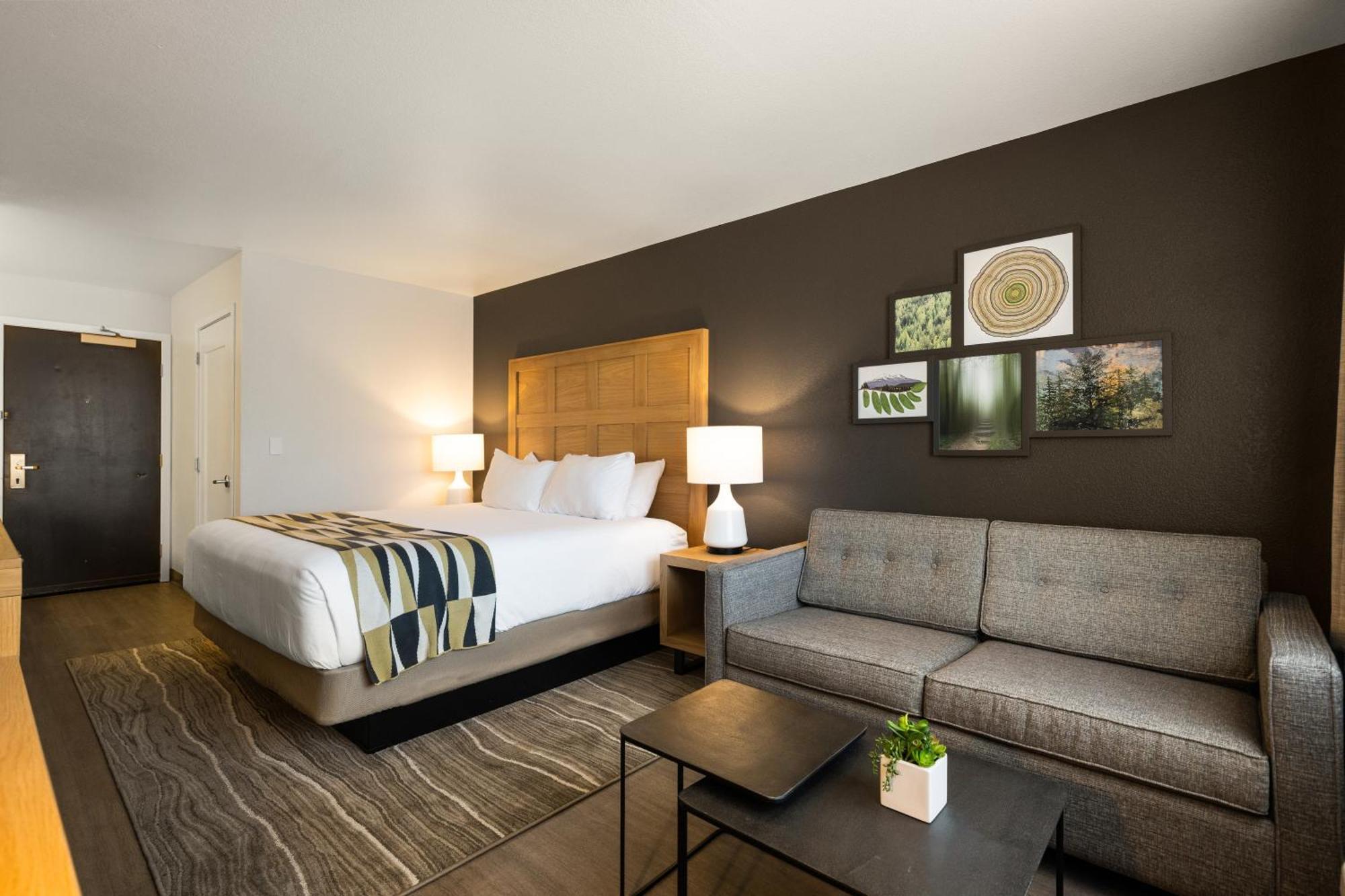 King Suite Sleeper Sofa