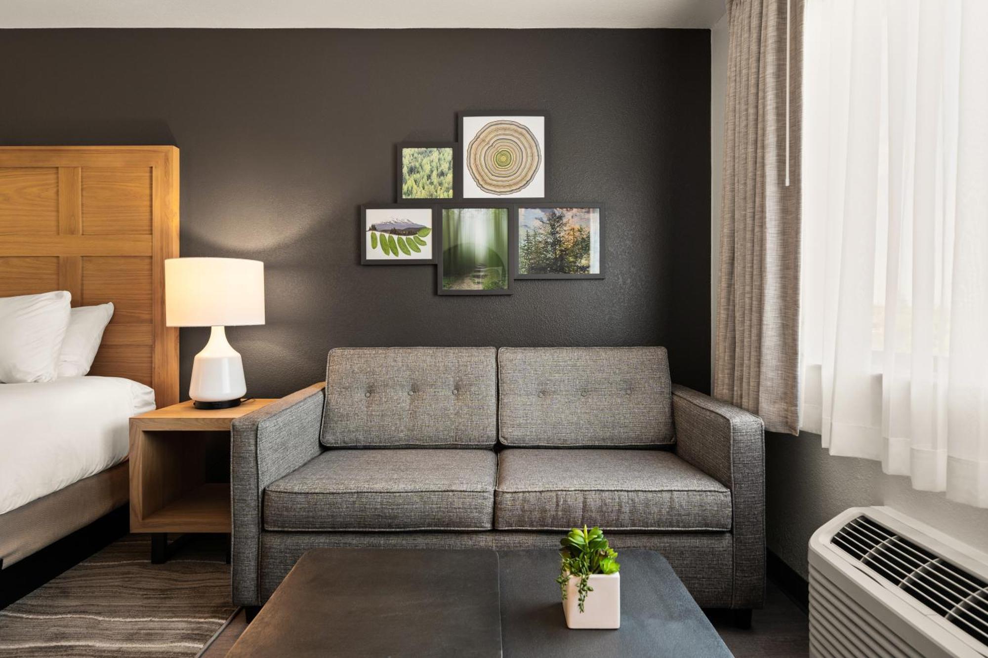 King Suite Sleeper Sofa