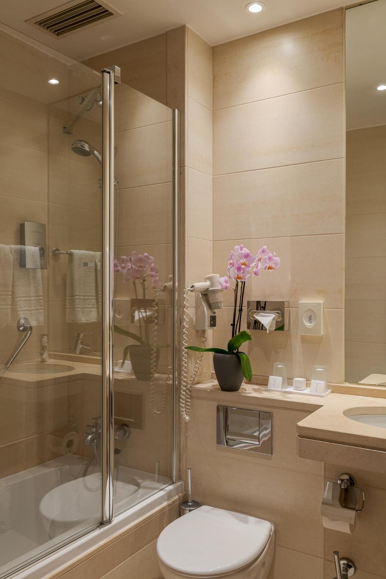 Deluxe Double or Twin Room Private Terrace