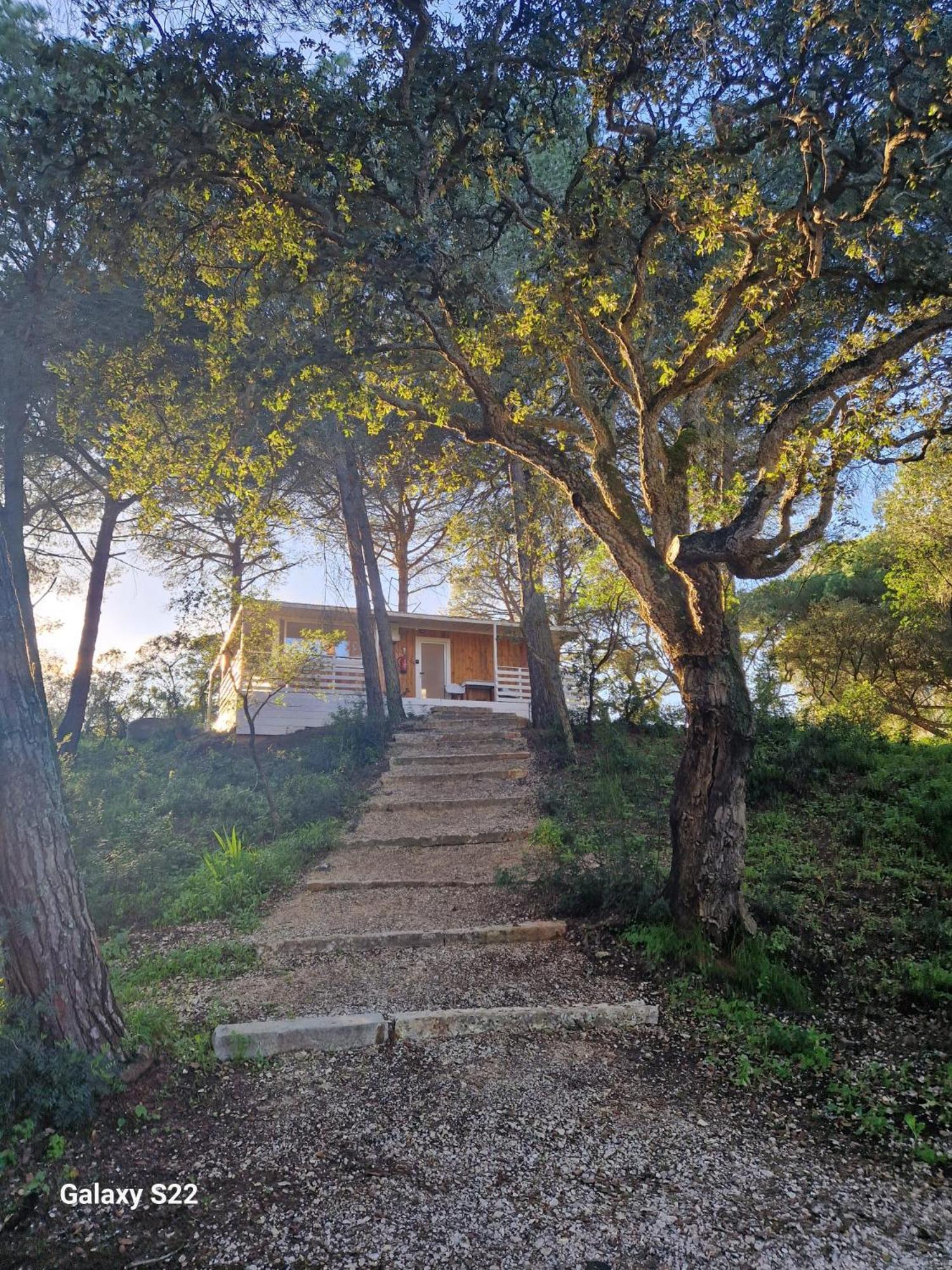 Superior Bungalow,1523677633:JPEG