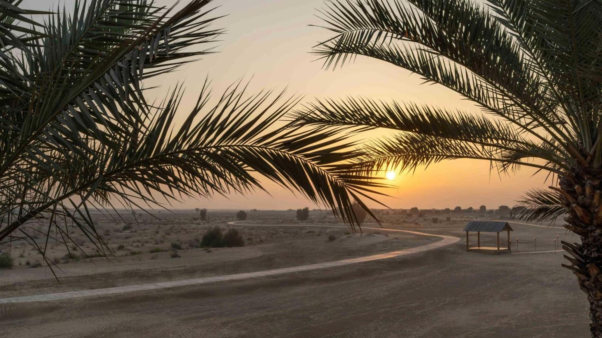 Terrace Desert View Twin Room UAE Resident UAE ID Mandatory,1576696853:JPEG