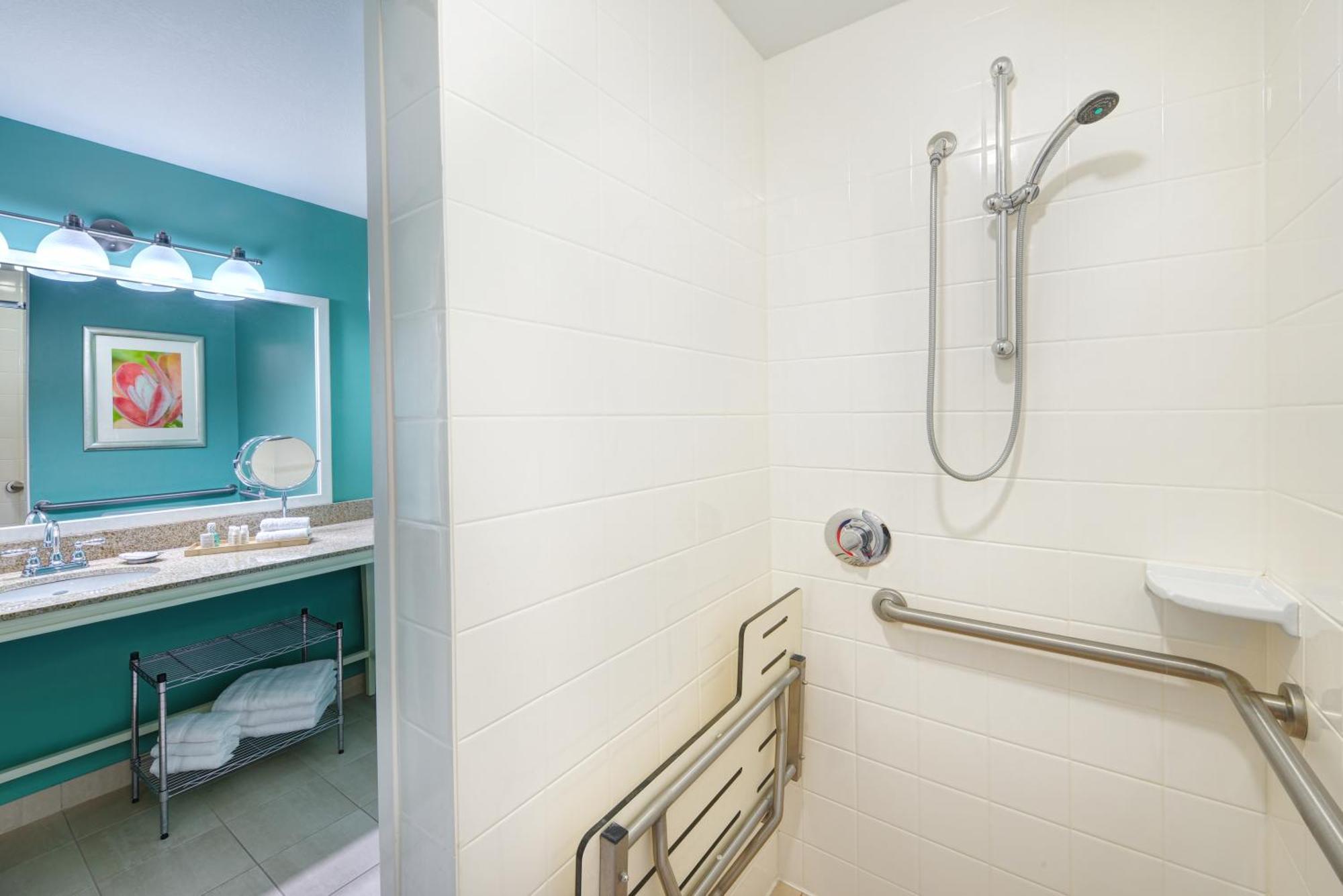 King Room with Roll In Shower - Non-Smoking