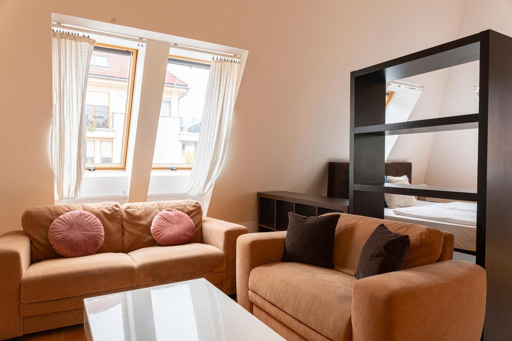Deluxe One-Bedroom Apartment