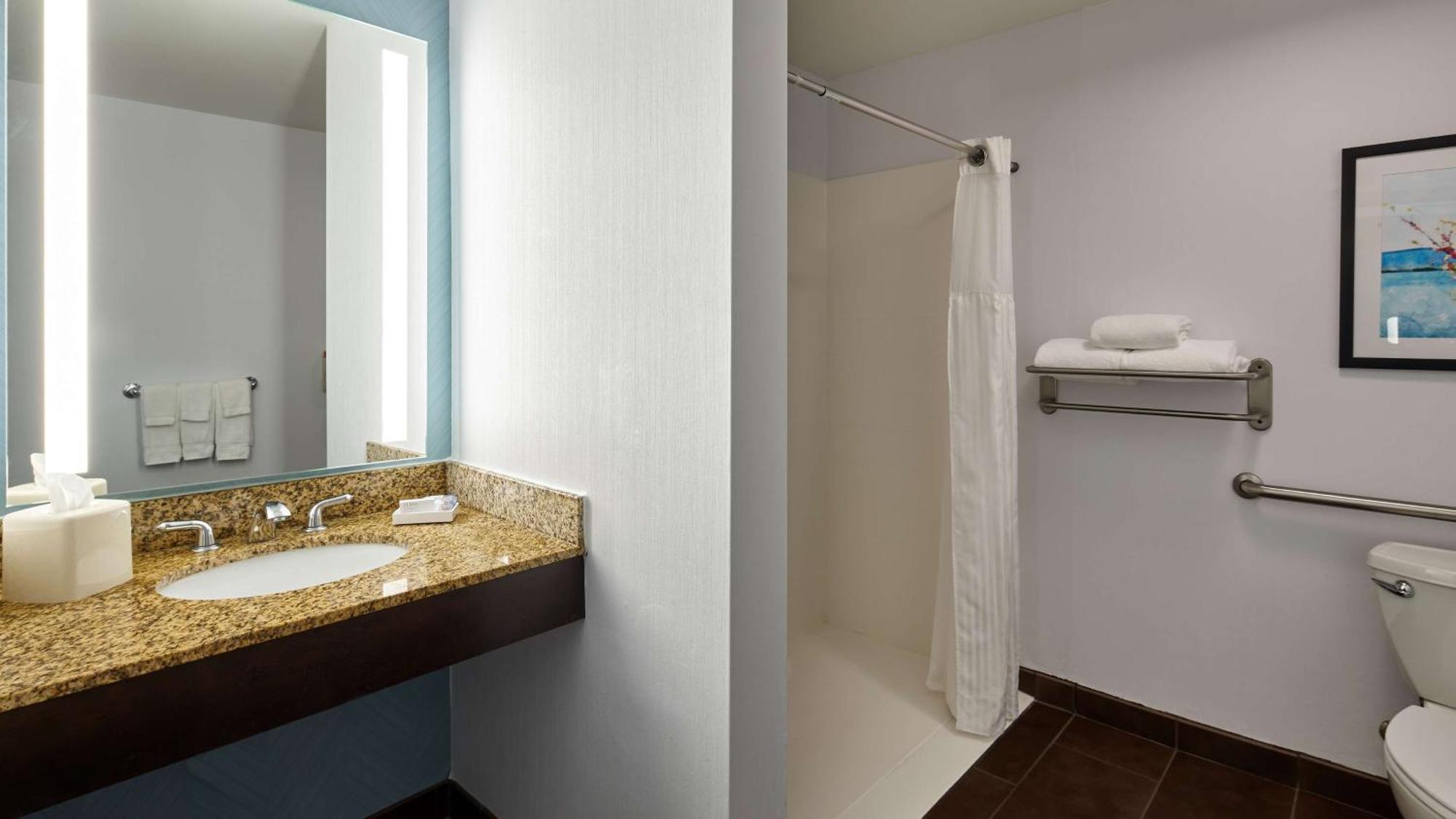 King Room Roll Shower Mobility Access