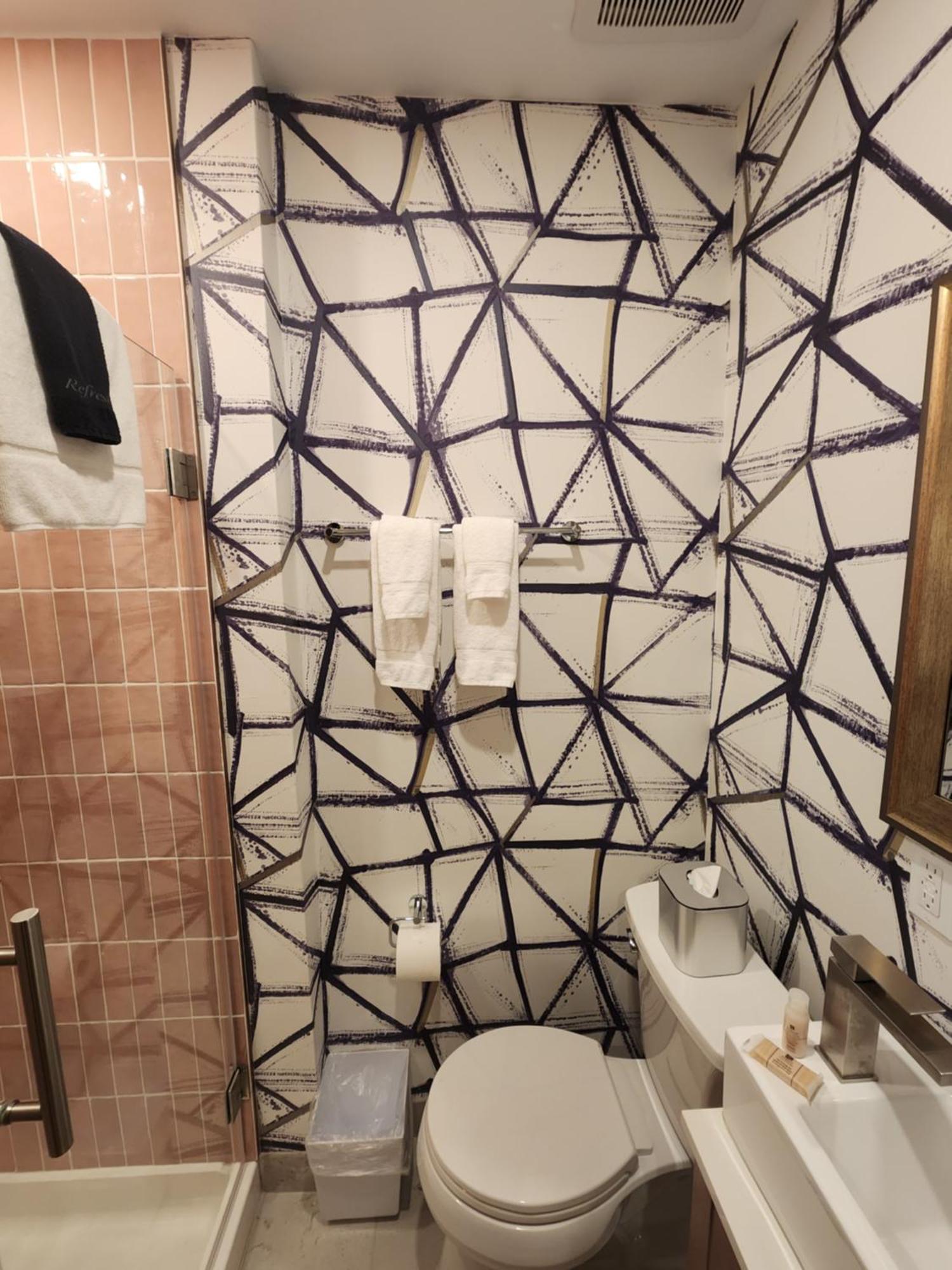 Standard Room Step Shower Disability Access