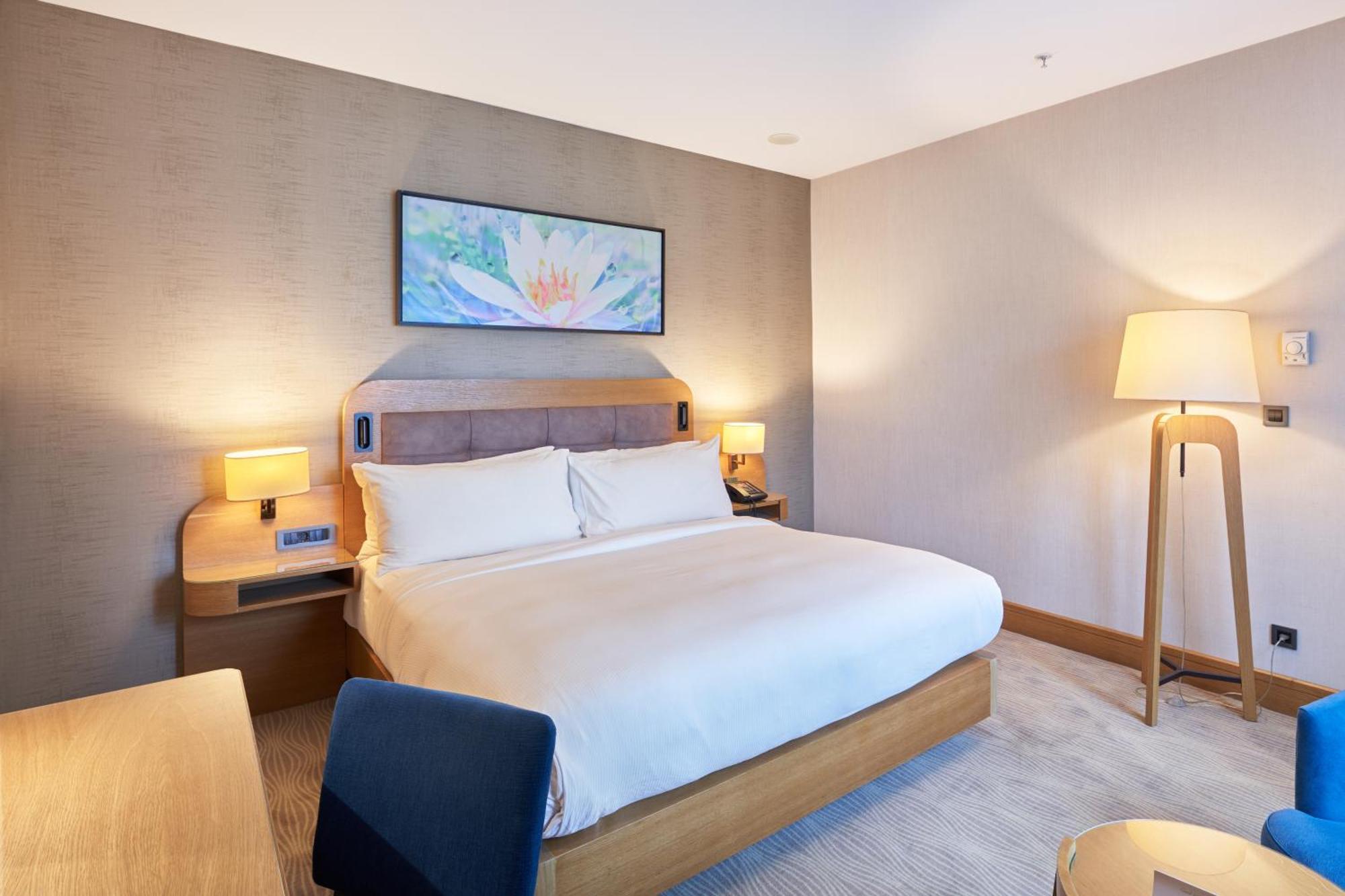 Junior Suite,1539791581:JPEG