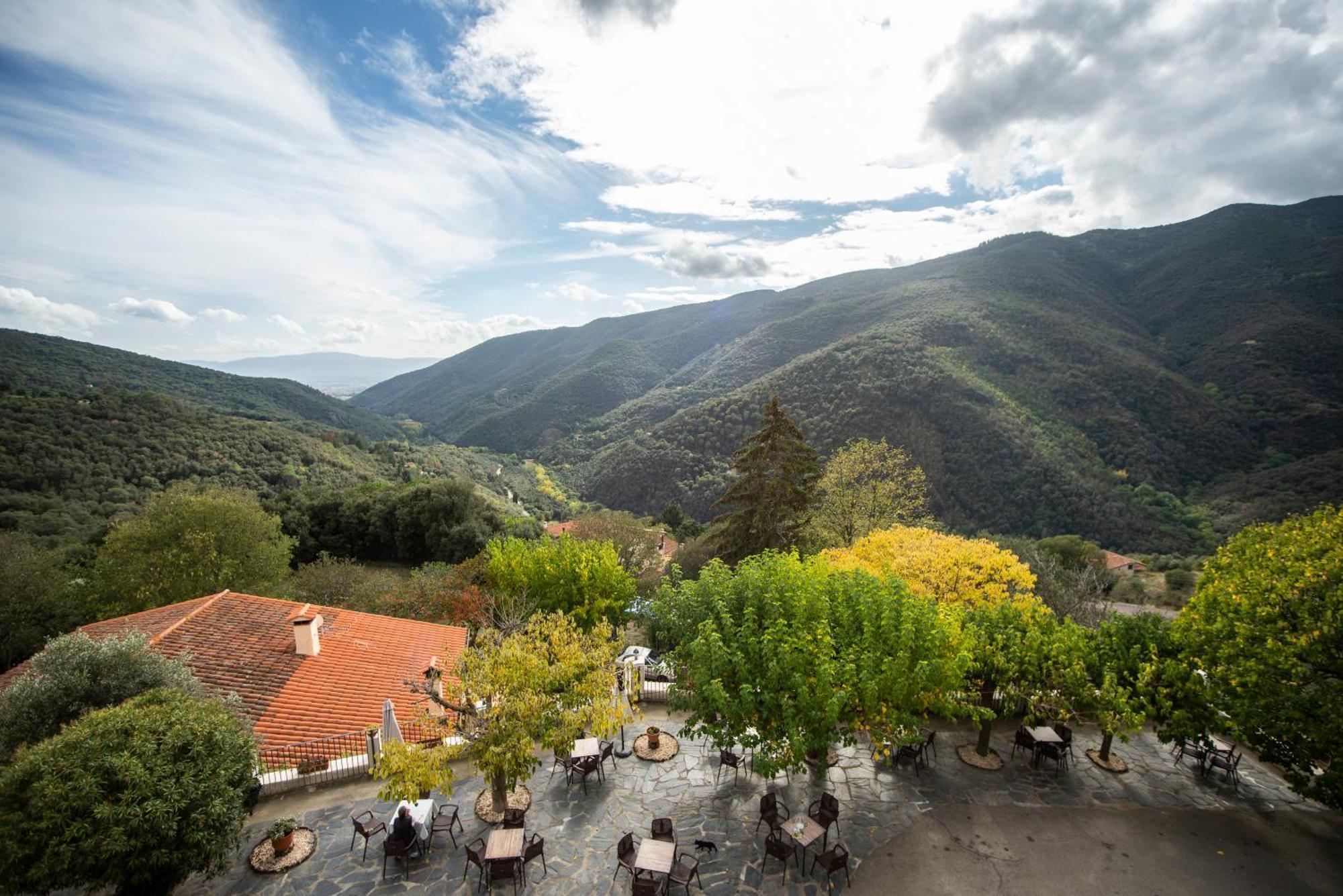 Double Room Mountain View