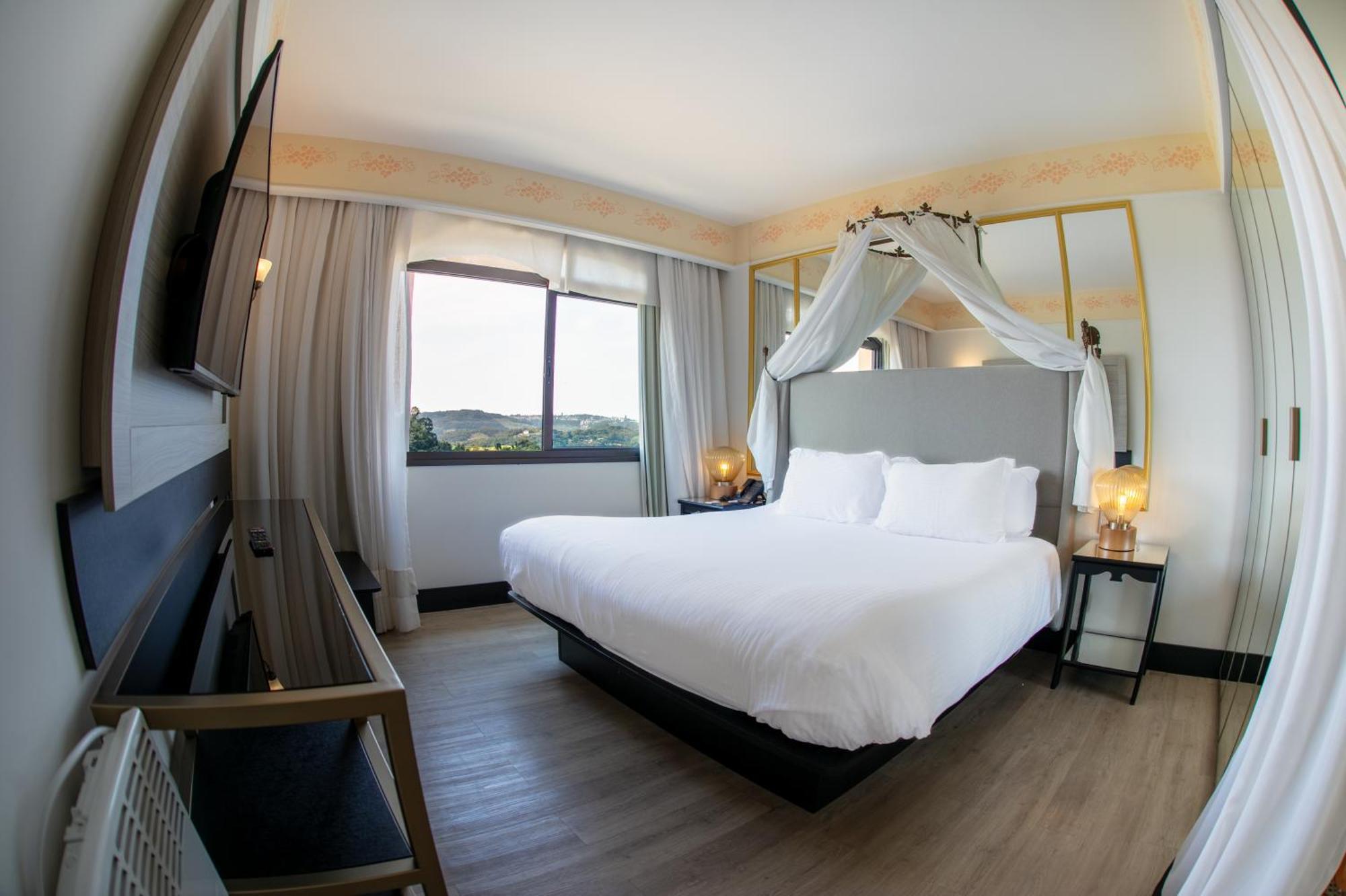 Suite Regia 1 King Fireplace Vineyard View