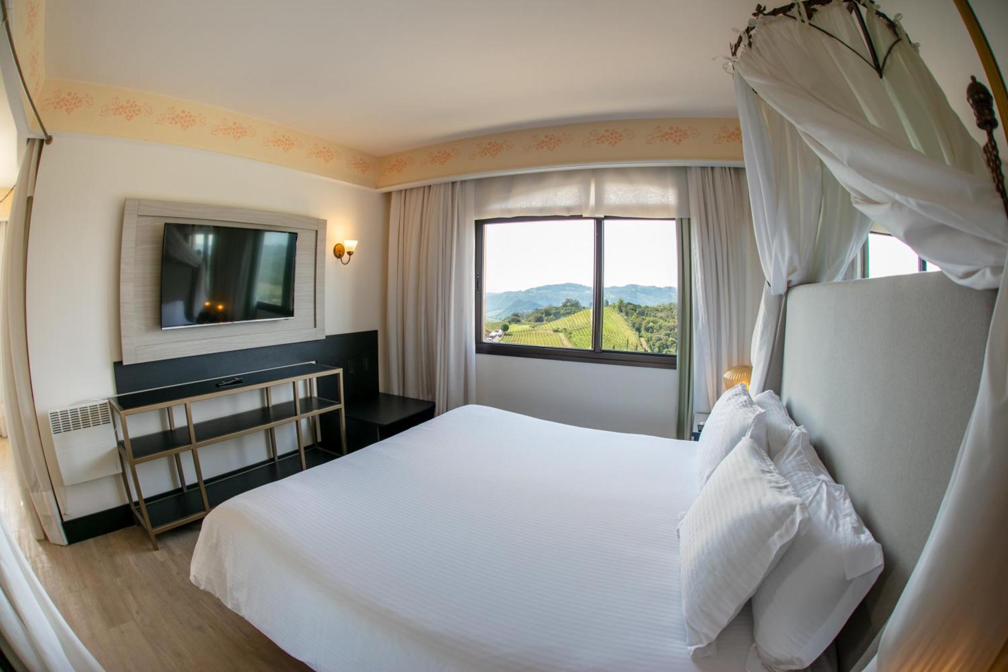 Suite Regia 1 King Fireplace Vineyard View