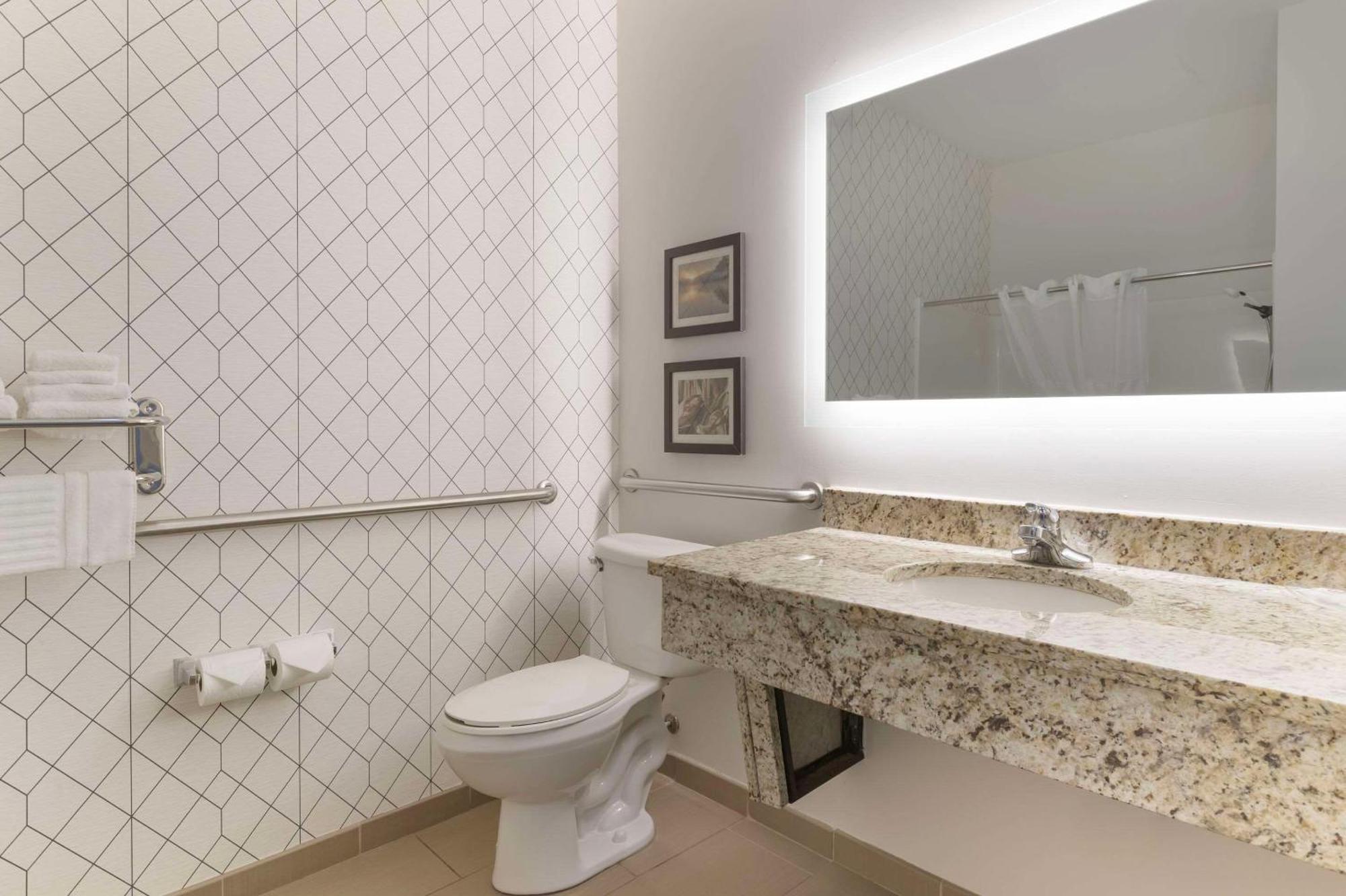 King Room Roll Shower Accessible or Non-Smoking