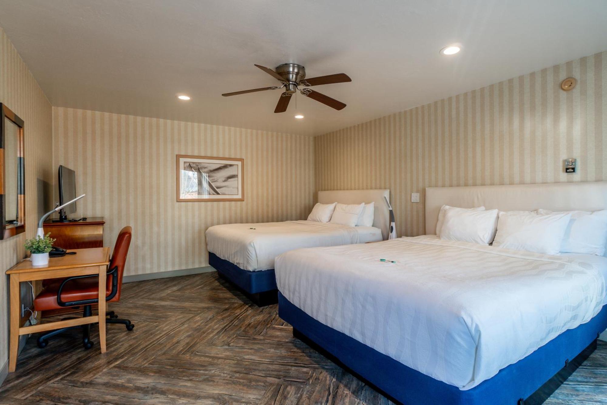 Premium Room, Two King Beds