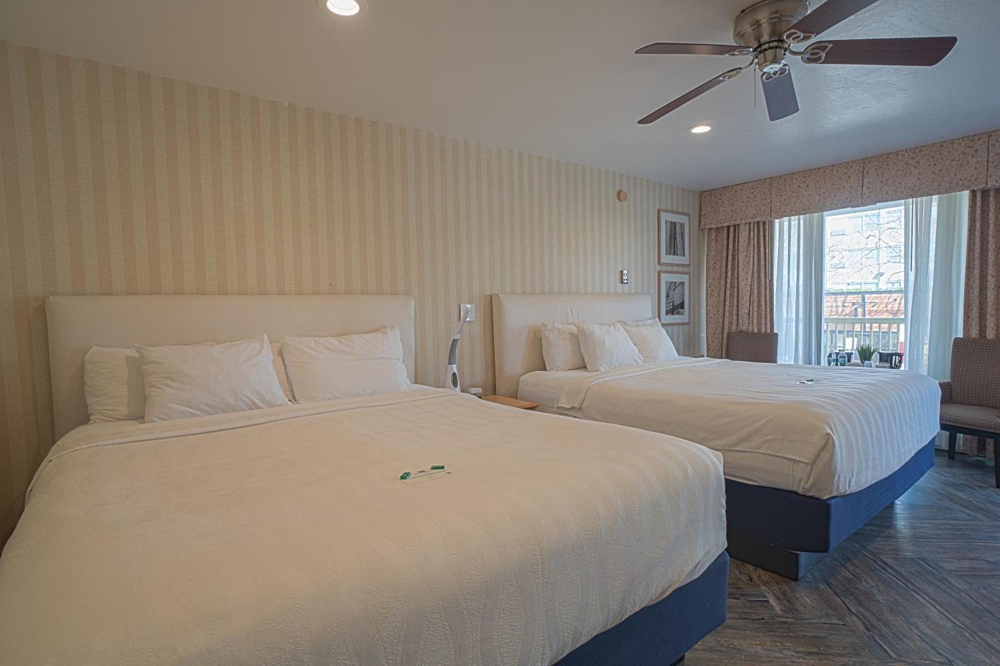 Premium Room Two King Beds