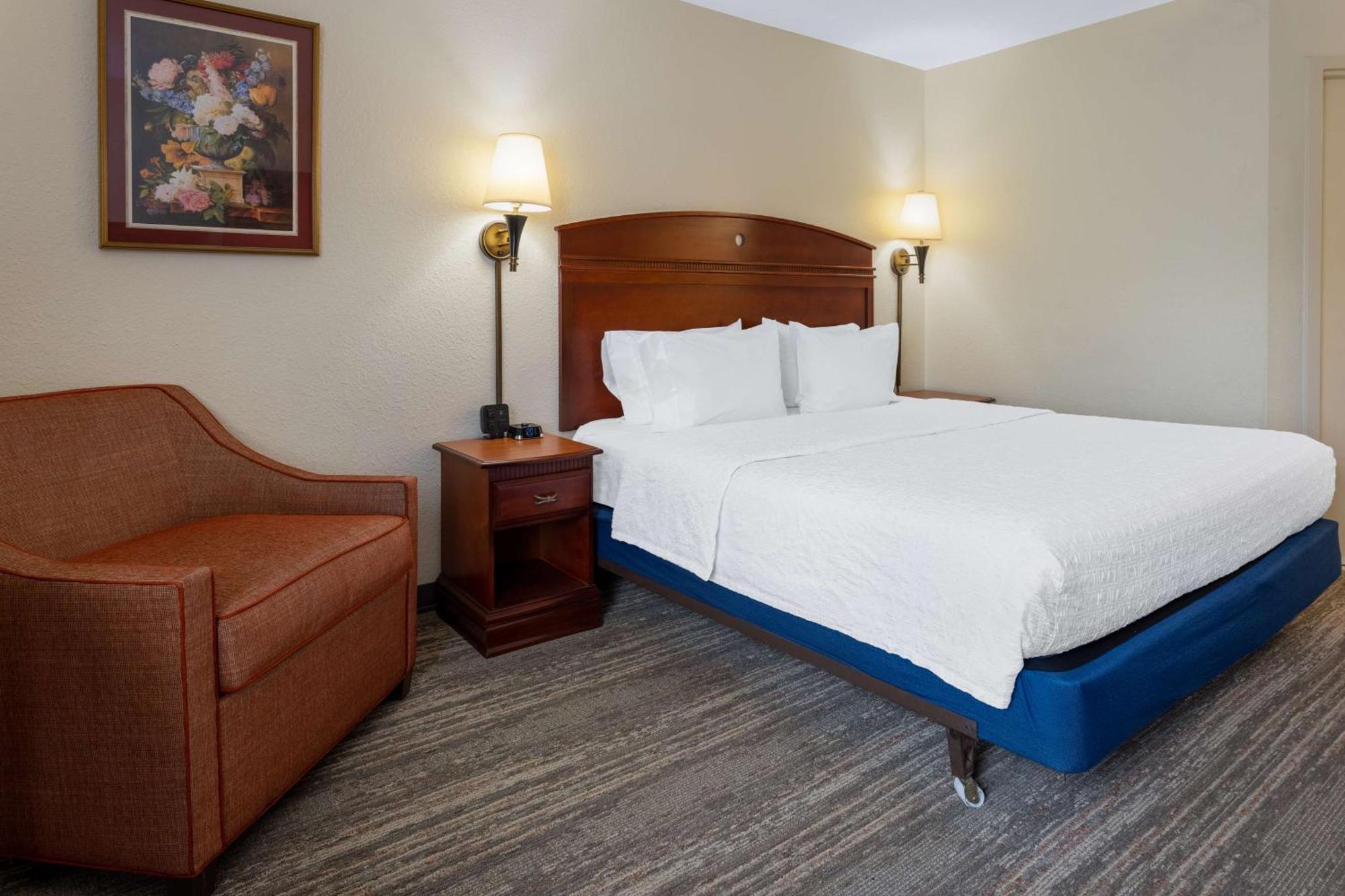 One-Bedroom King Suite with Sofa Bed - Non-Smoking