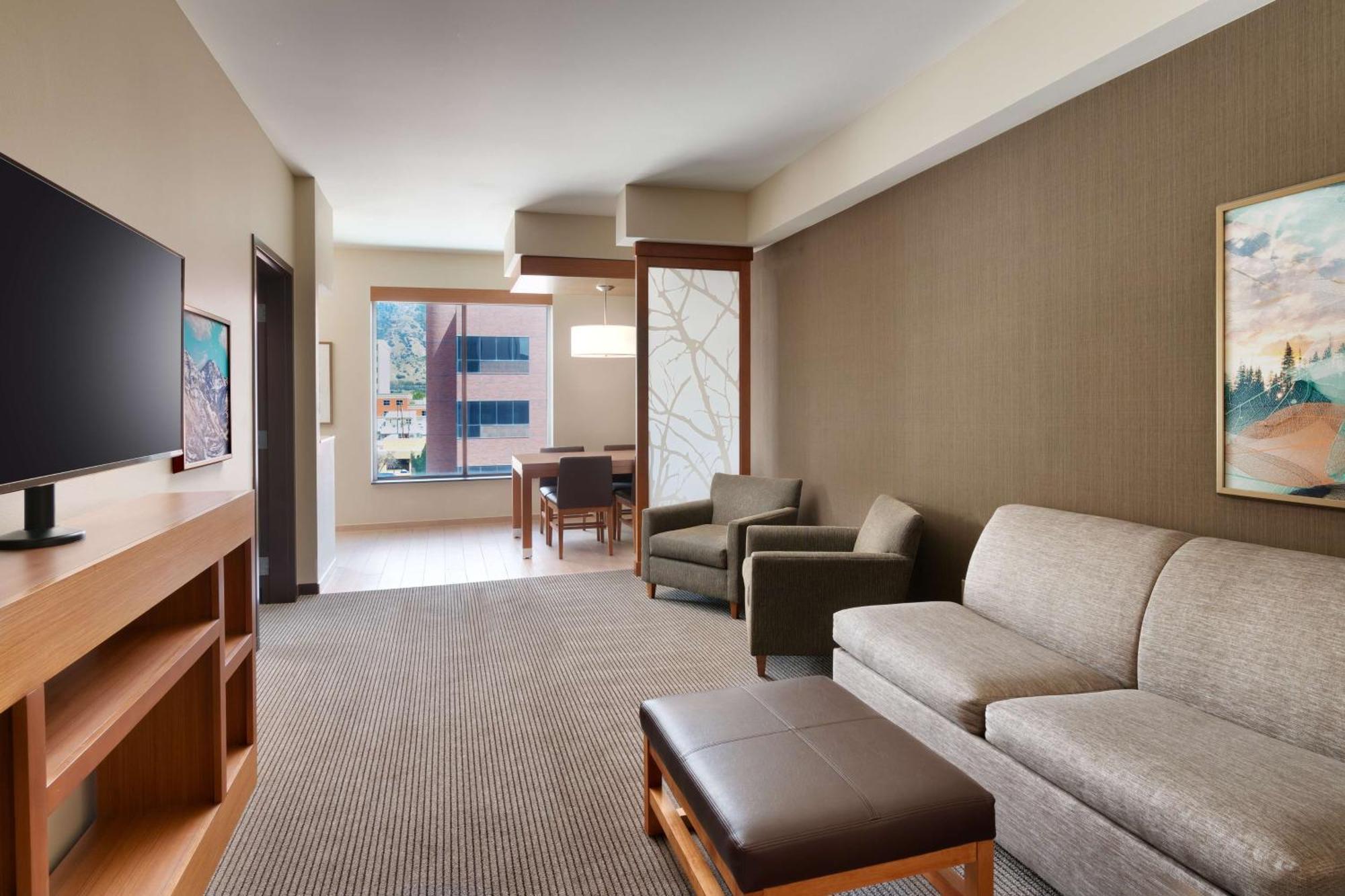 One-Bedroom King Suite Sofa Bed