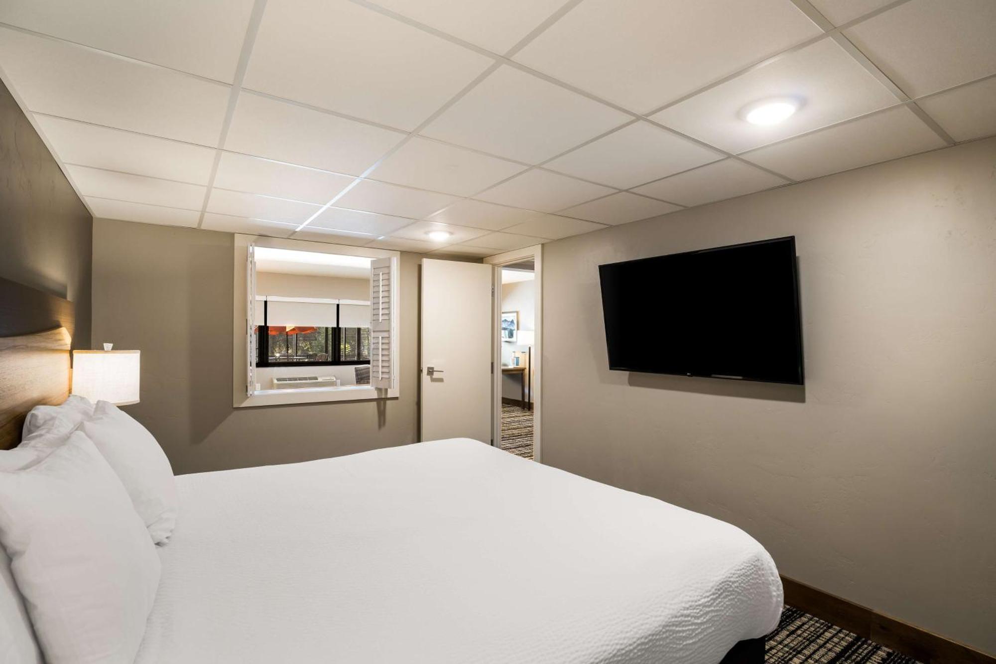 King Suite Sofa Bed,1705953362:JPEG