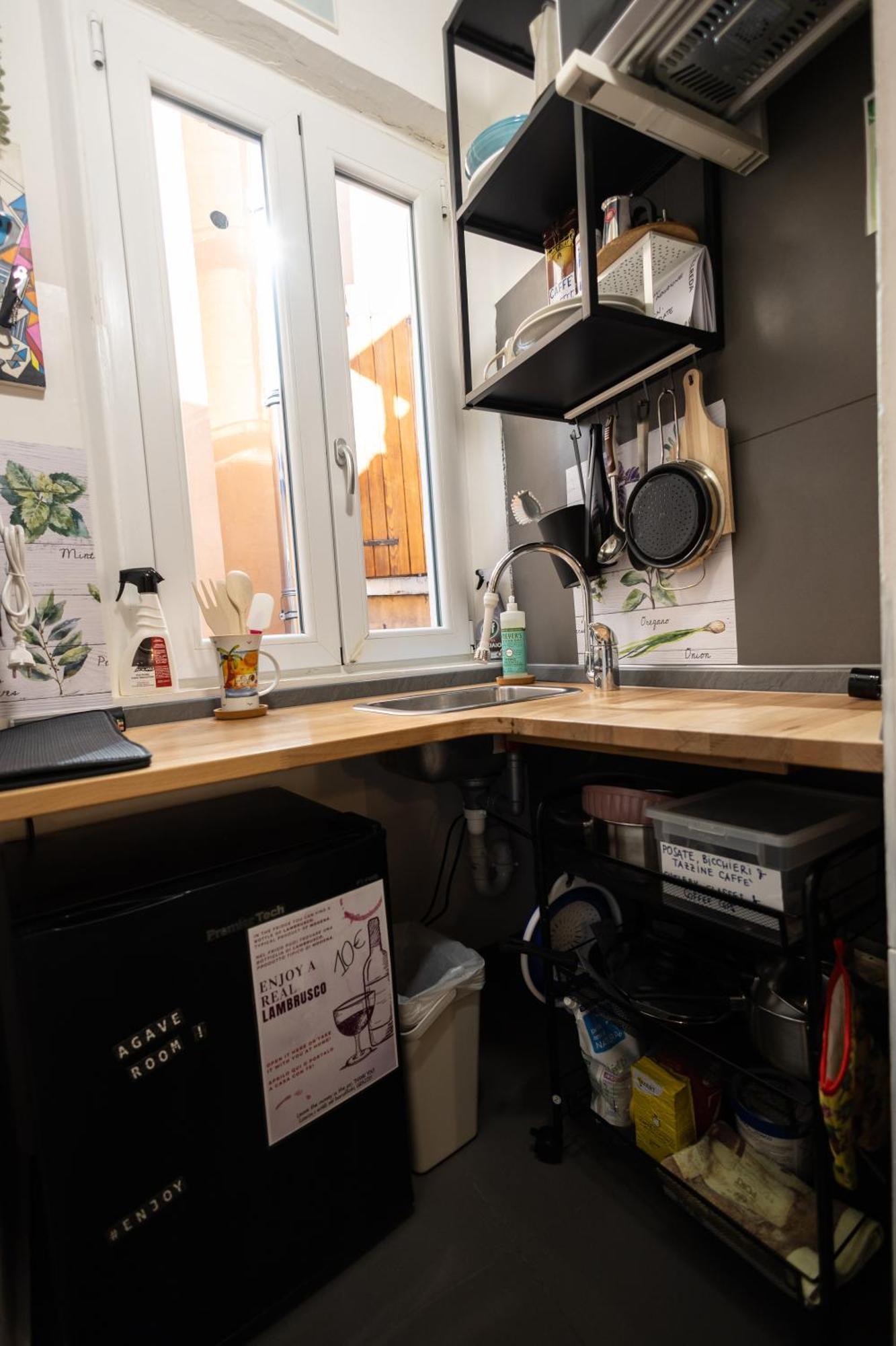 Standard Studio
