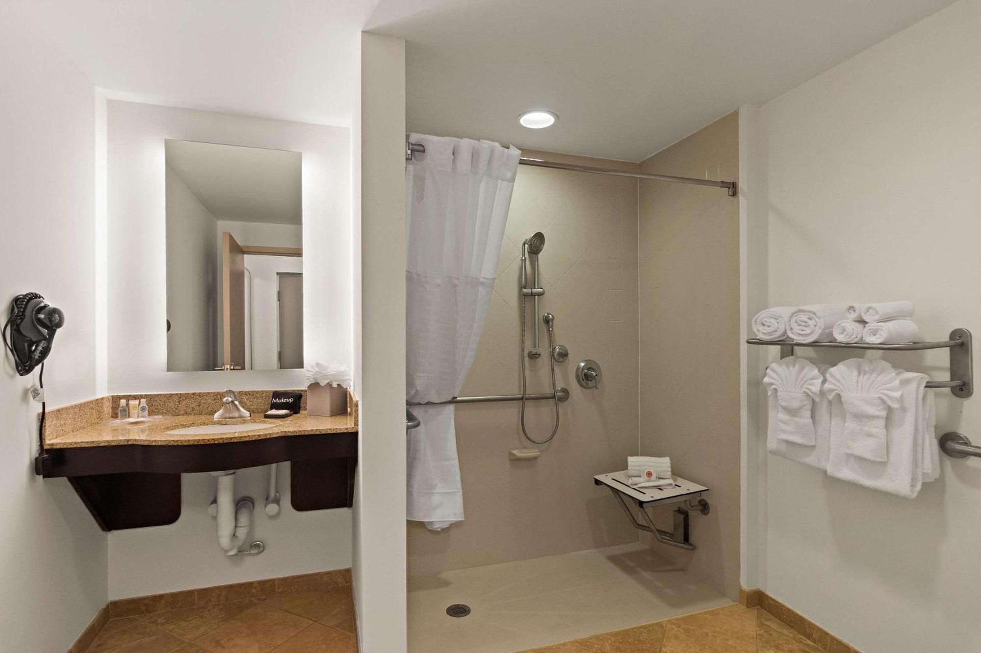King Suite Roll Shower Accessible or Non-Smoking,1542406432:JPEG
