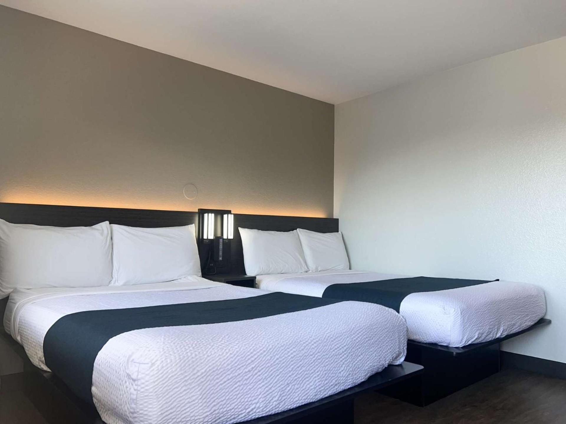 Double Room Disability Access Roll Shower