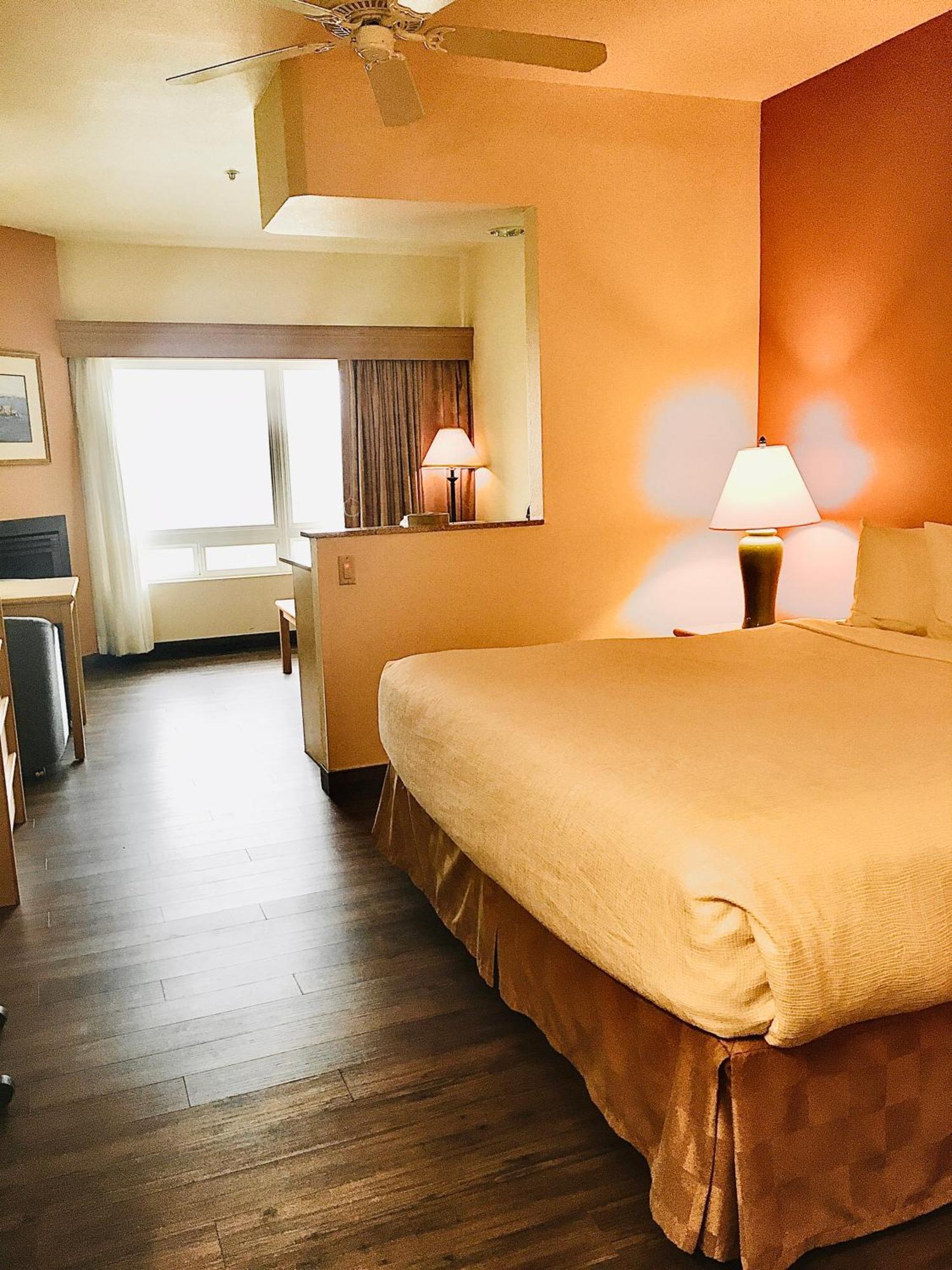 King Room - First Floor - Pet Friendly