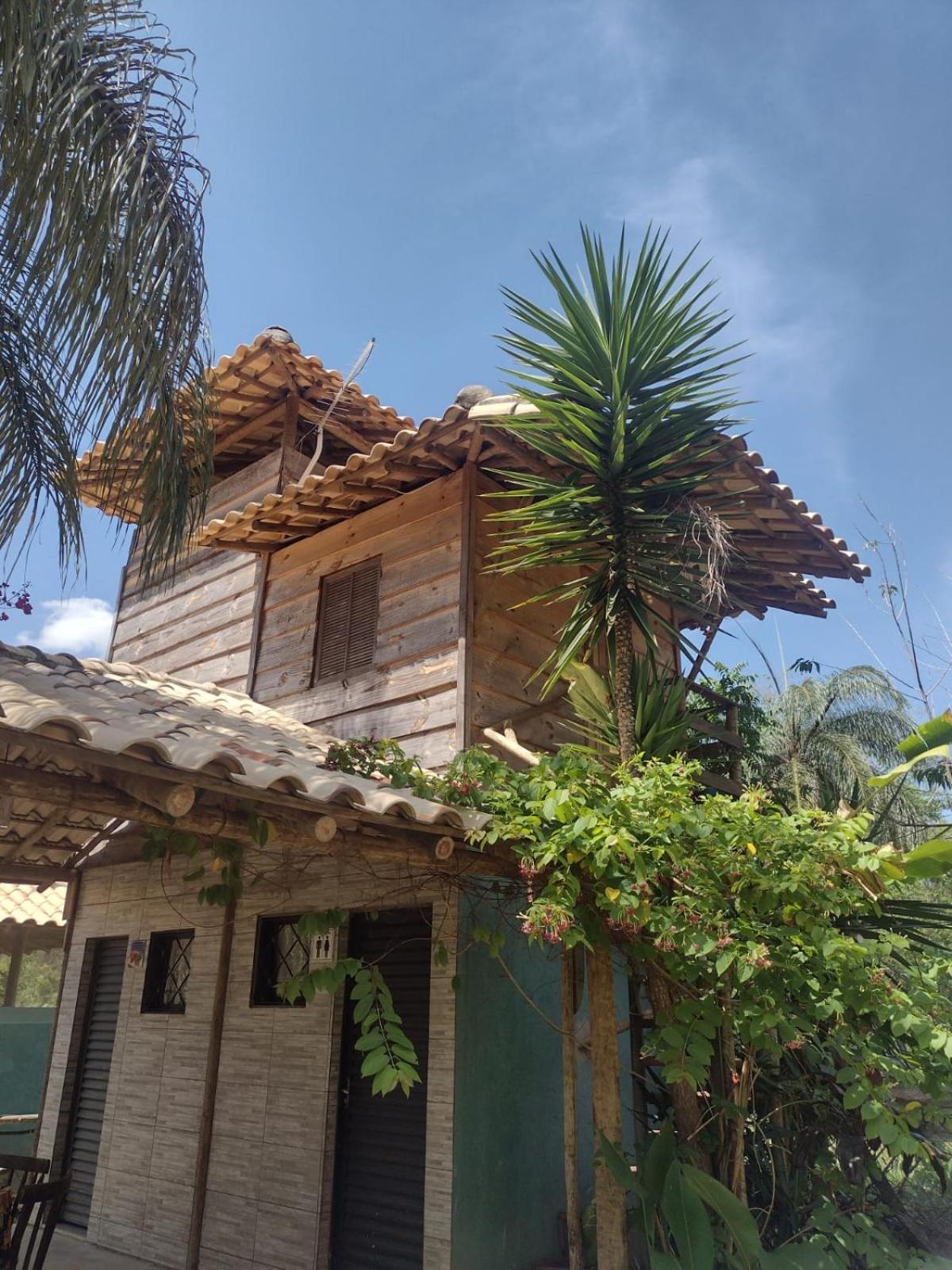 Bungalow Garden View