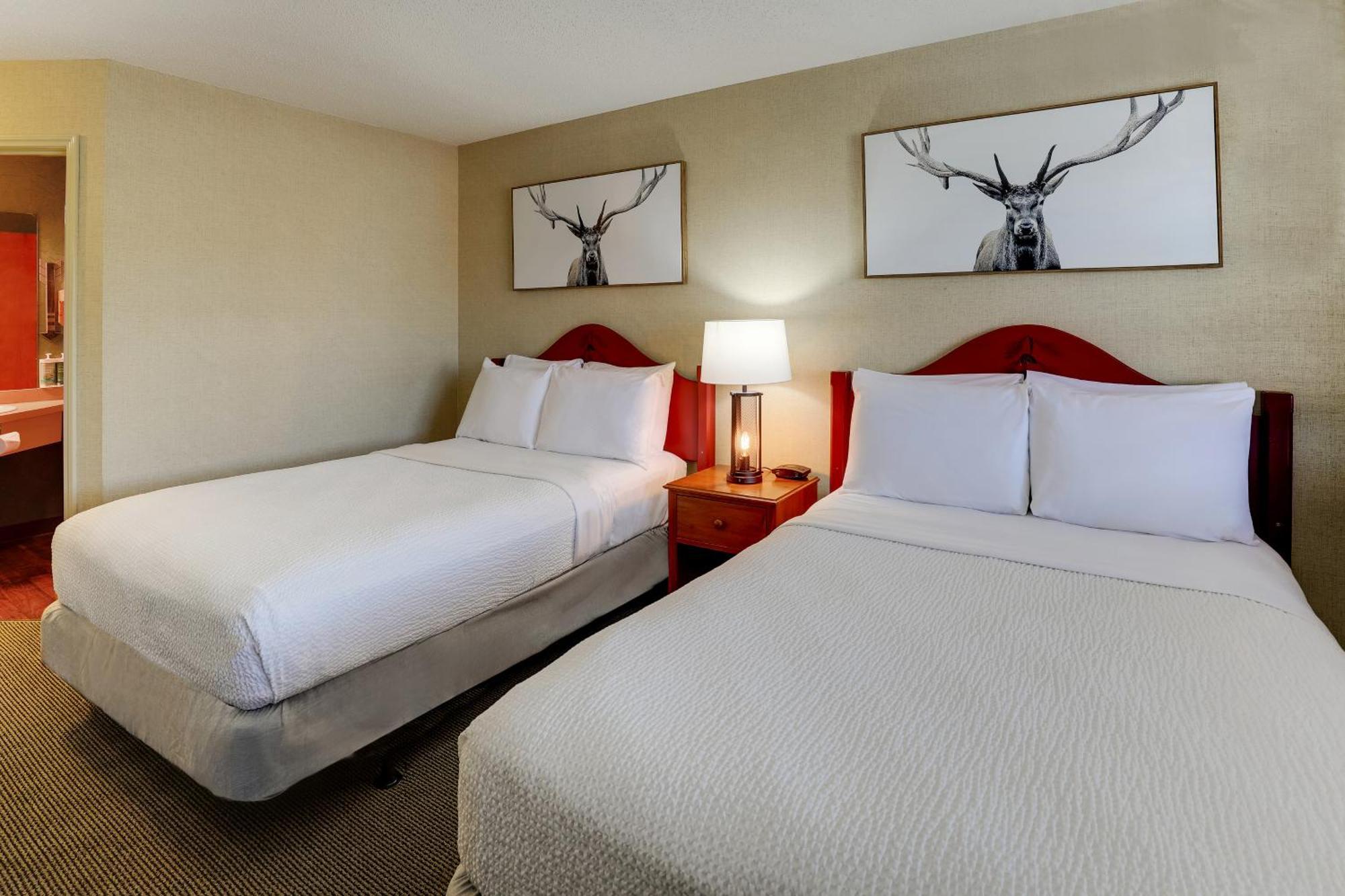 Deluxe Double Room Two Double Beds