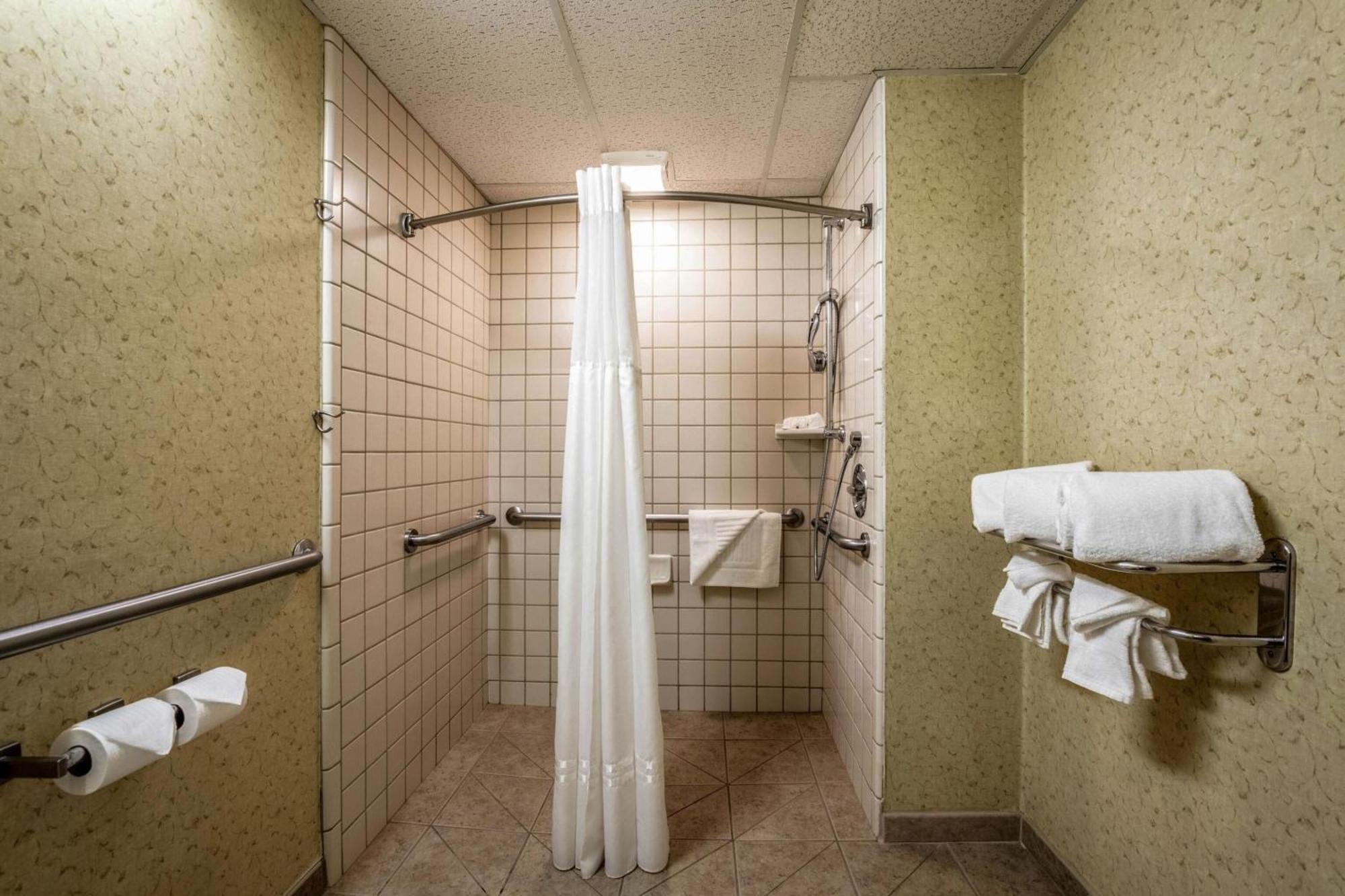 King Suite Roll Shower Accessible or Non-Smoking,1279142410:JPEG