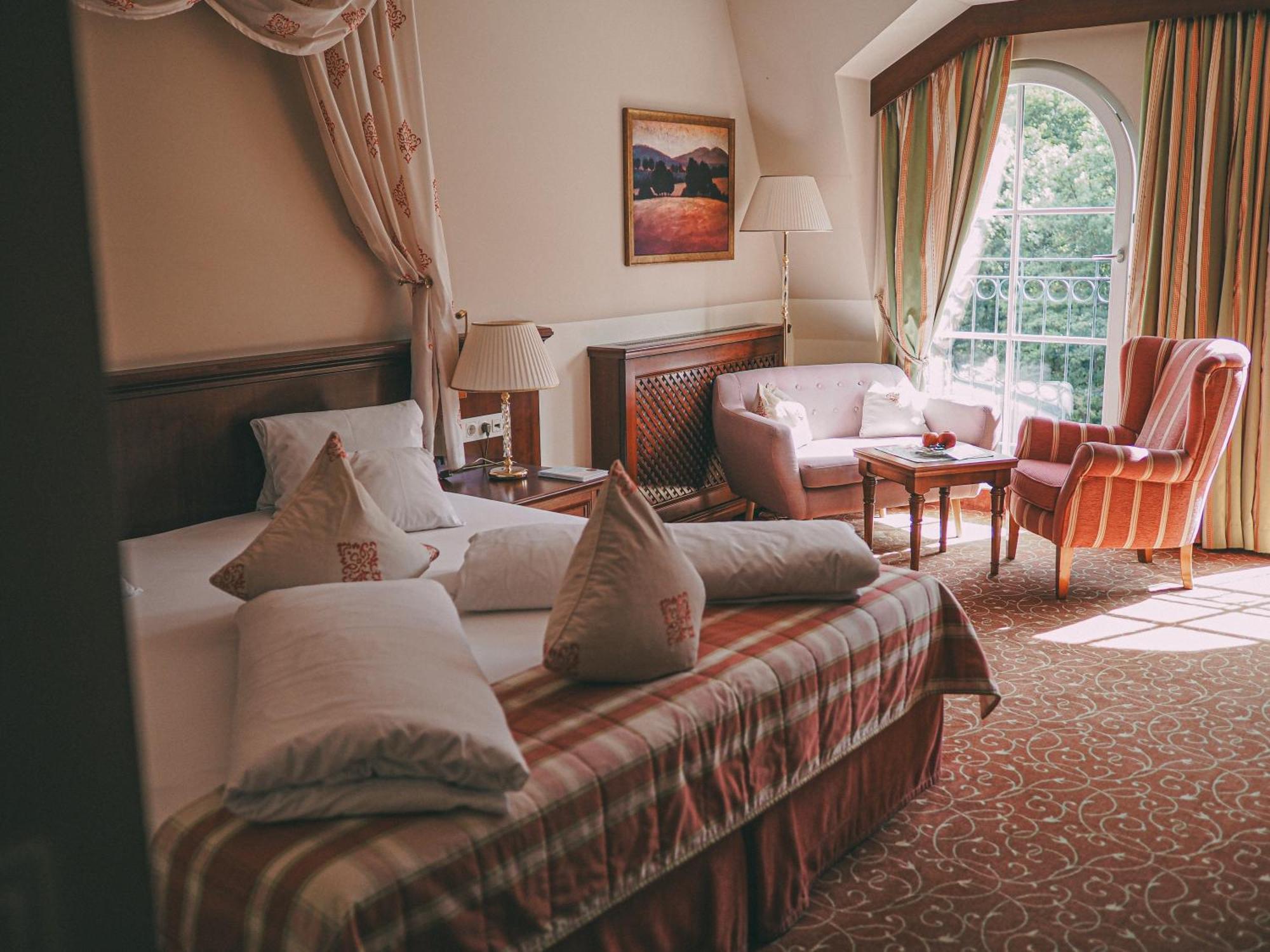 Room Mountain View French Balcony