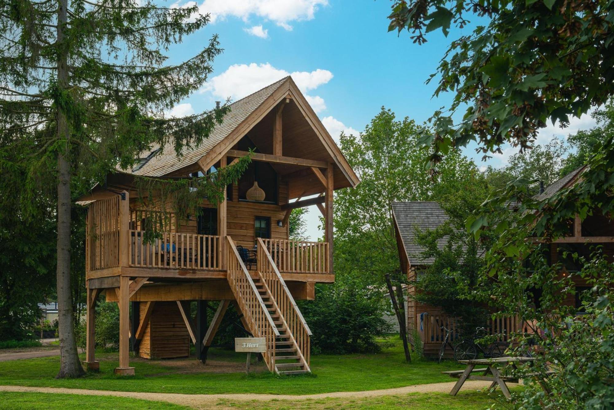 Boomhut met Jacuzzi | 2-4 Pers