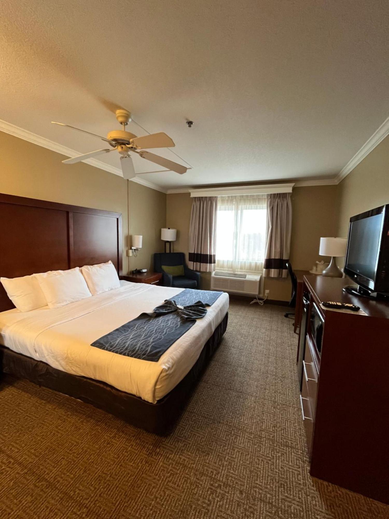 One Room Suite with Ocean View - Non Smoking
