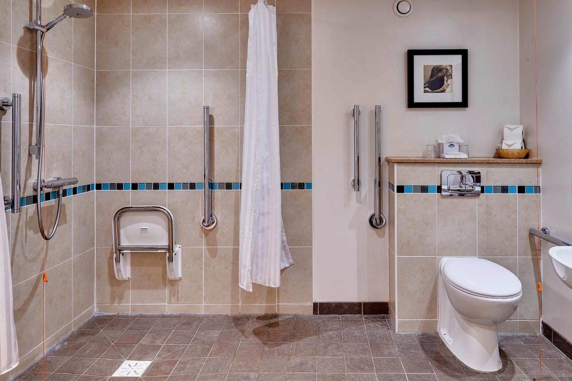 King Studio Suite Accessible