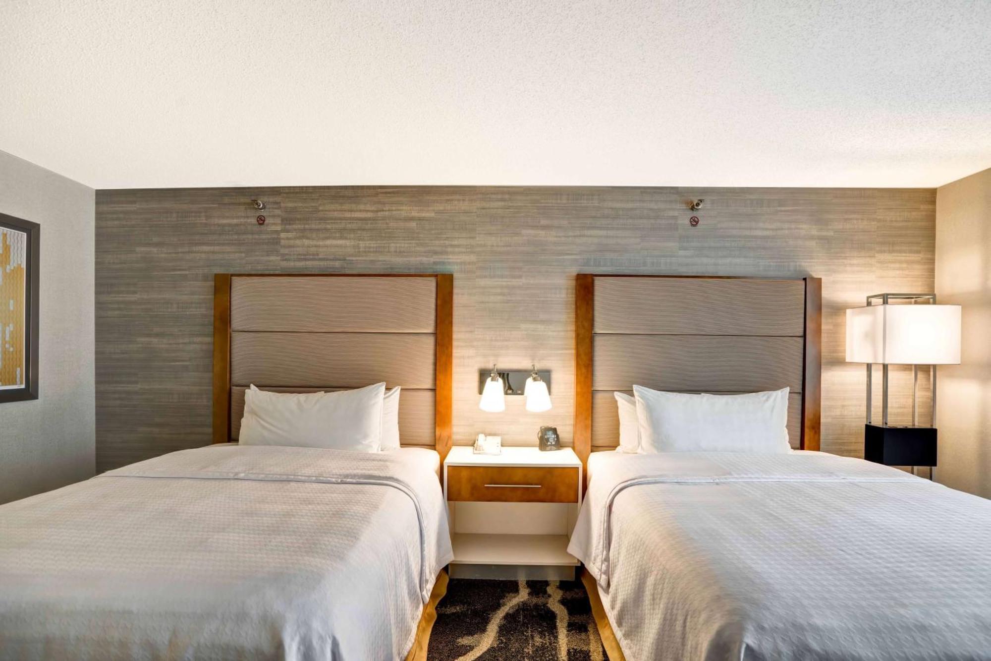 One-Bedroom Queen Suite,1709524833:JPEG