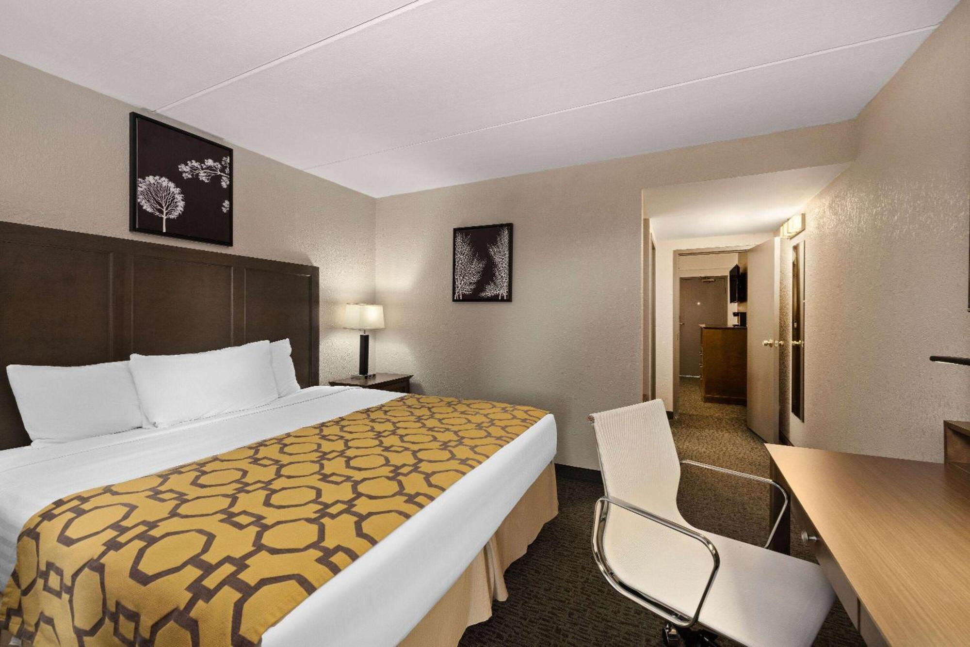 One-Bedroom King Suite Non-Smoking