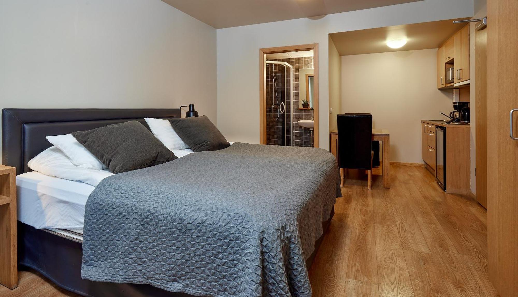 Studio Apartment