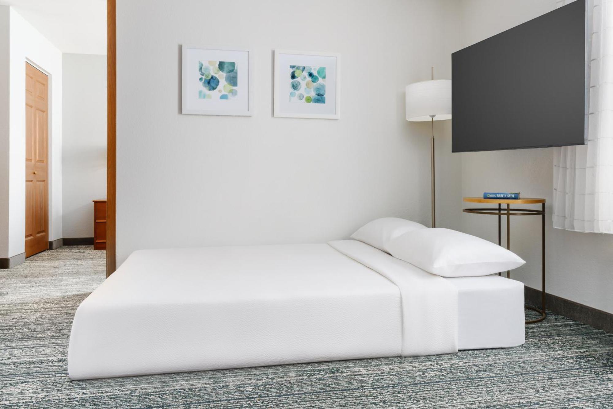 Queen Studio Sofa Bed