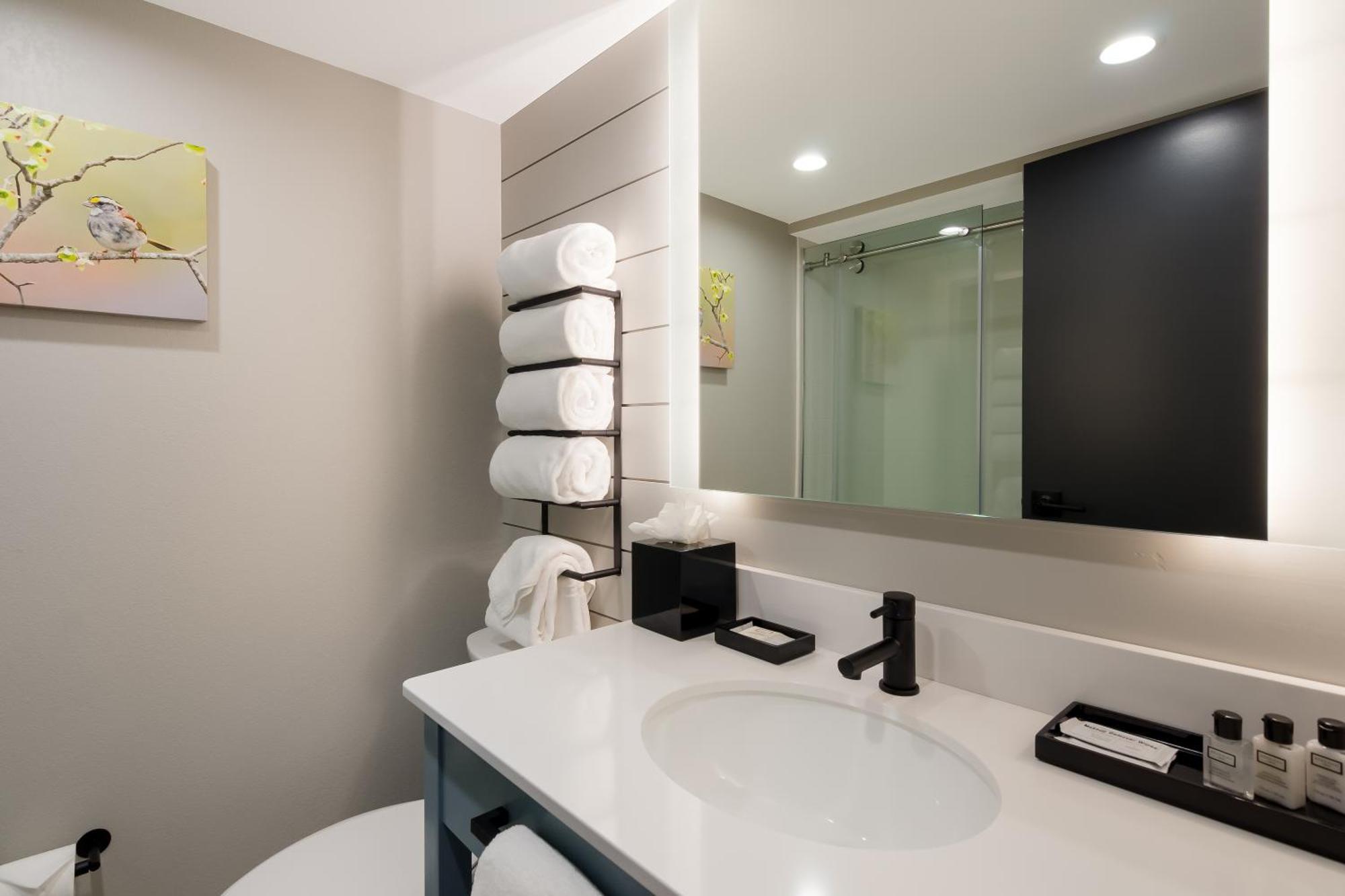 Family Suite,1549251895:JPEG