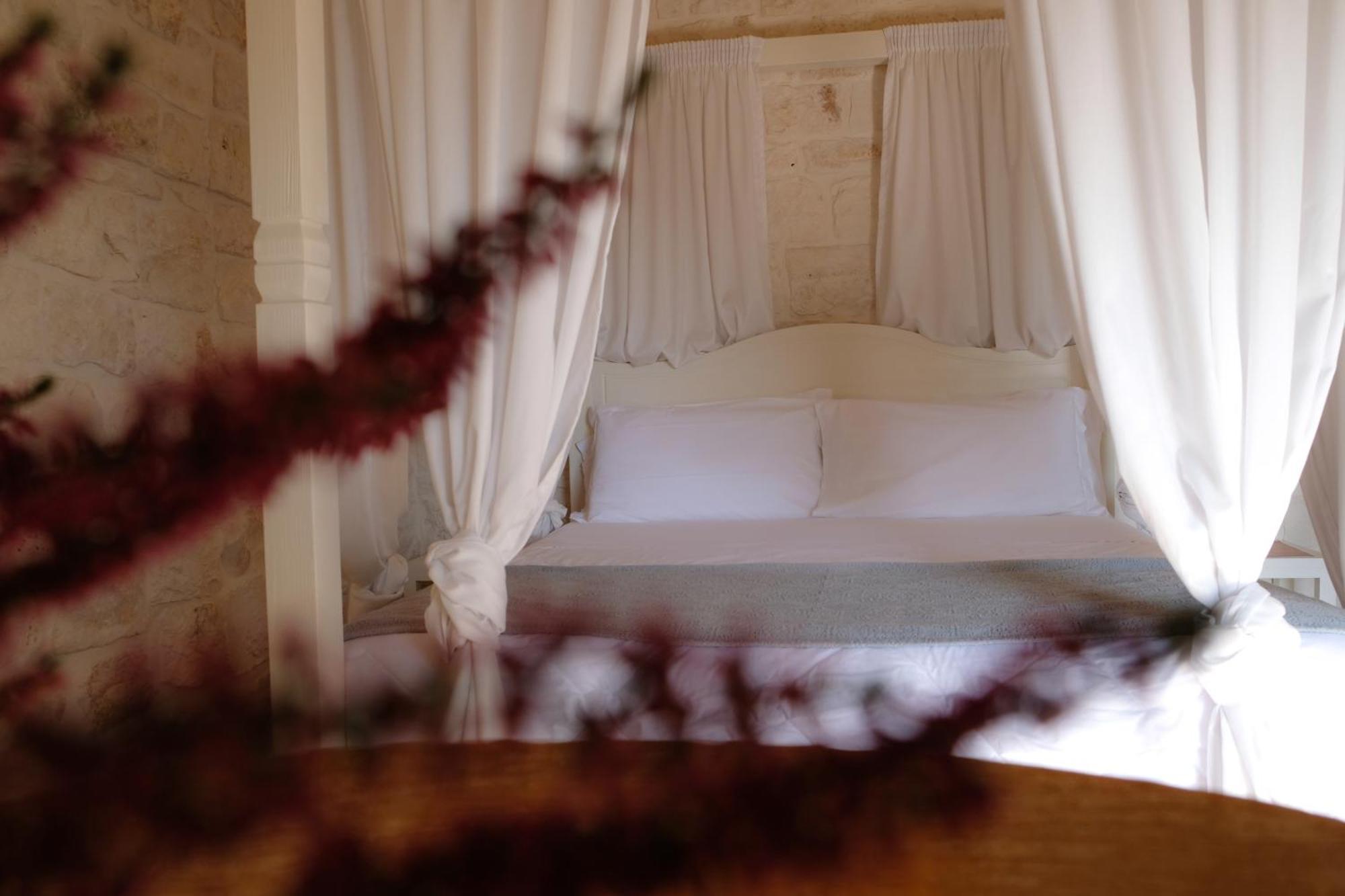 Suite Terrace