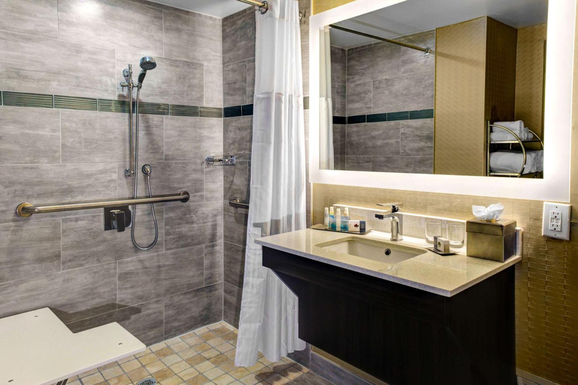 King Room Roll Shower Mobility or Hearing Accessible