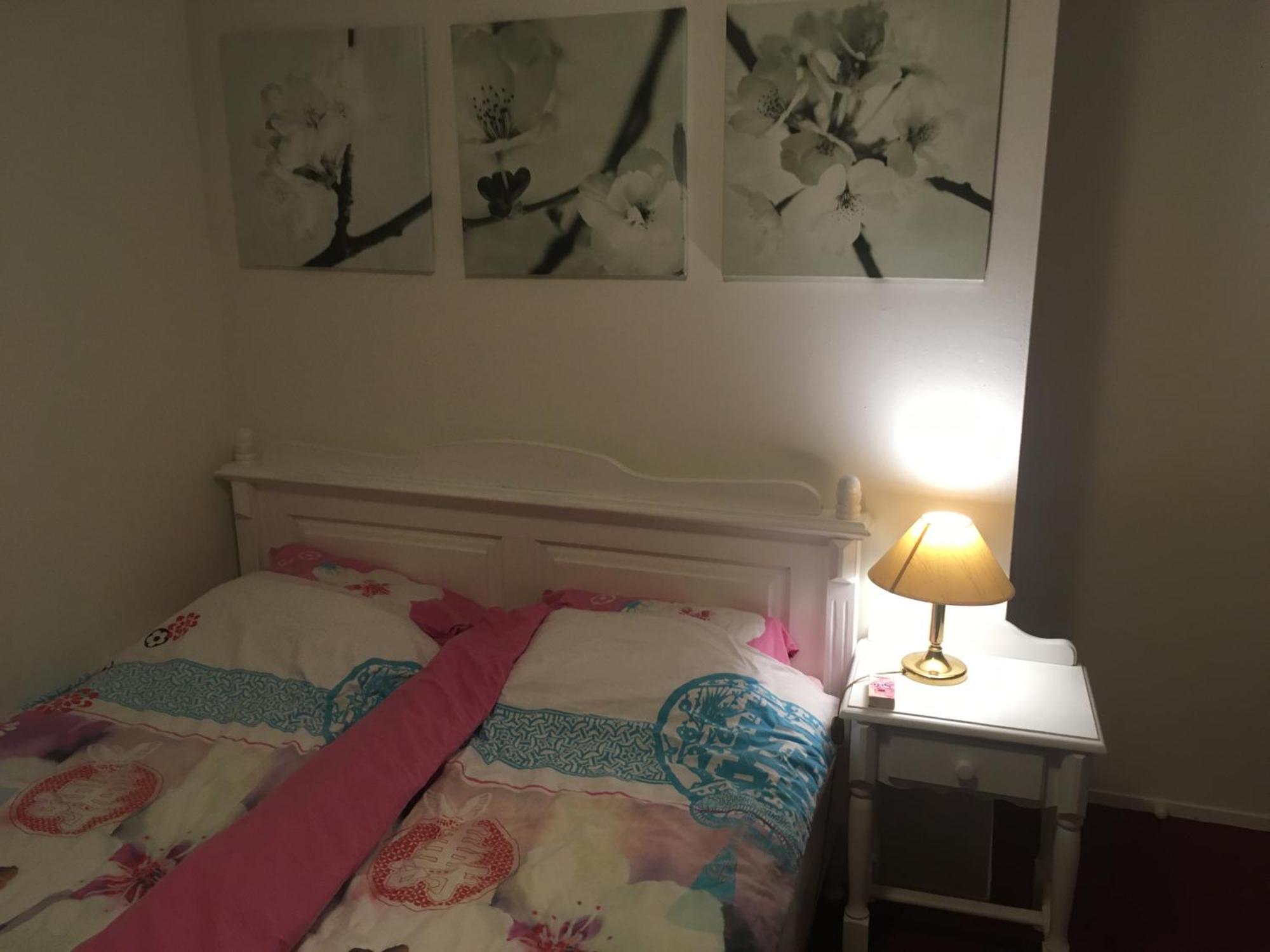 Deluxe Double or Twin Room Garden View