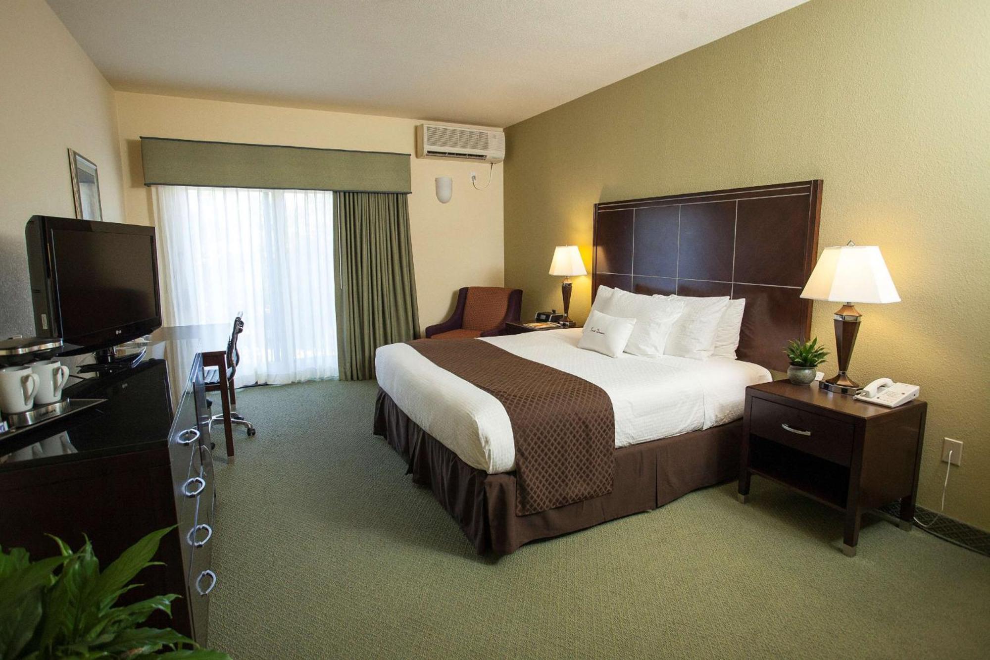 King Room with View