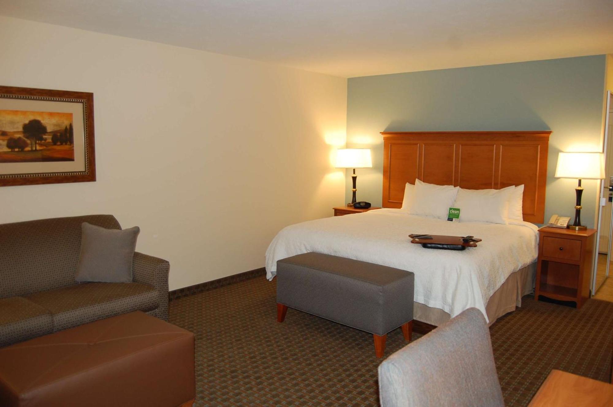 King Studio Suite with Sofa Bed - Non-Smoking