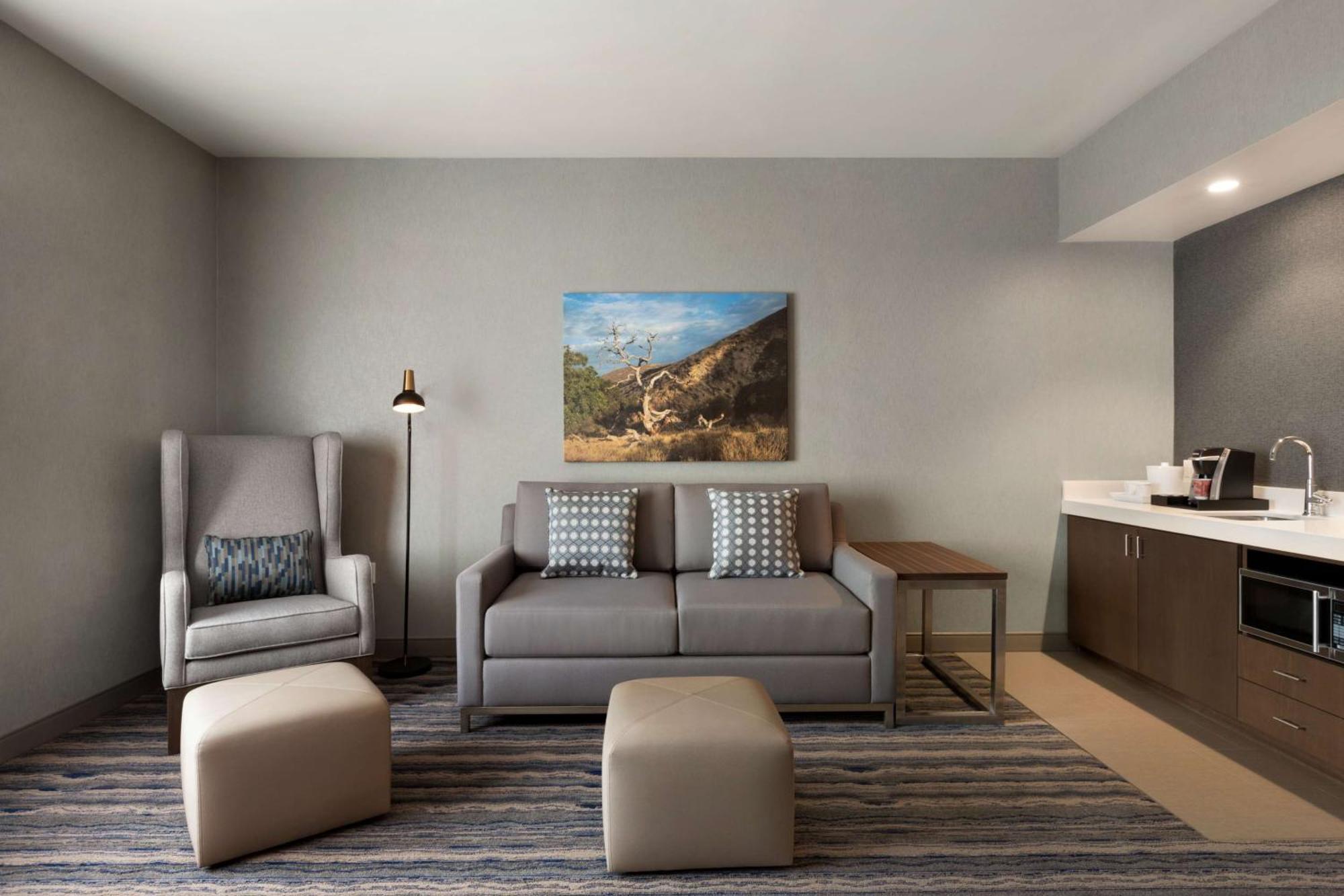 One-Bedroom King Suite Sofa Bed