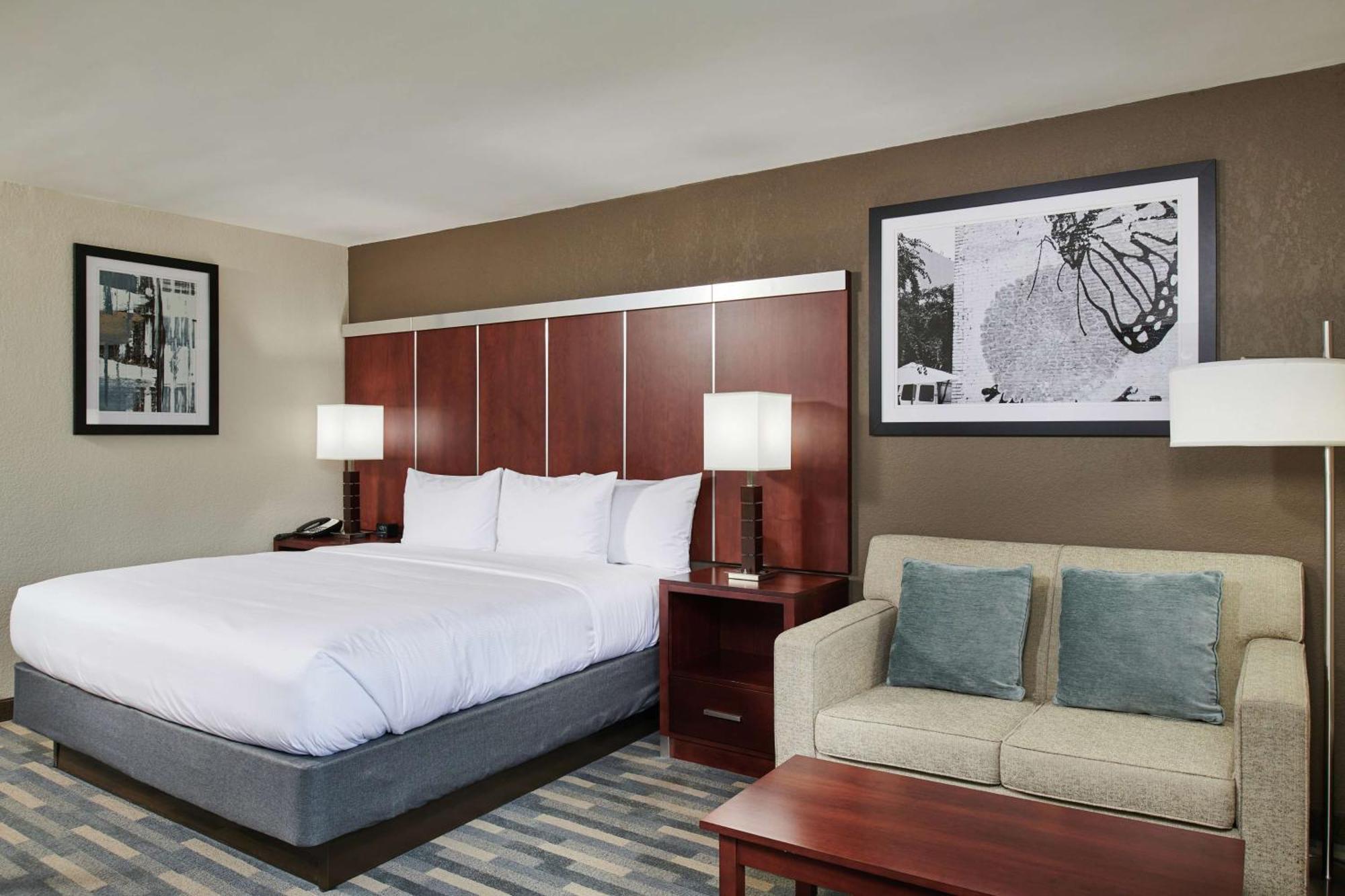 King Room,1706611710:JPEG